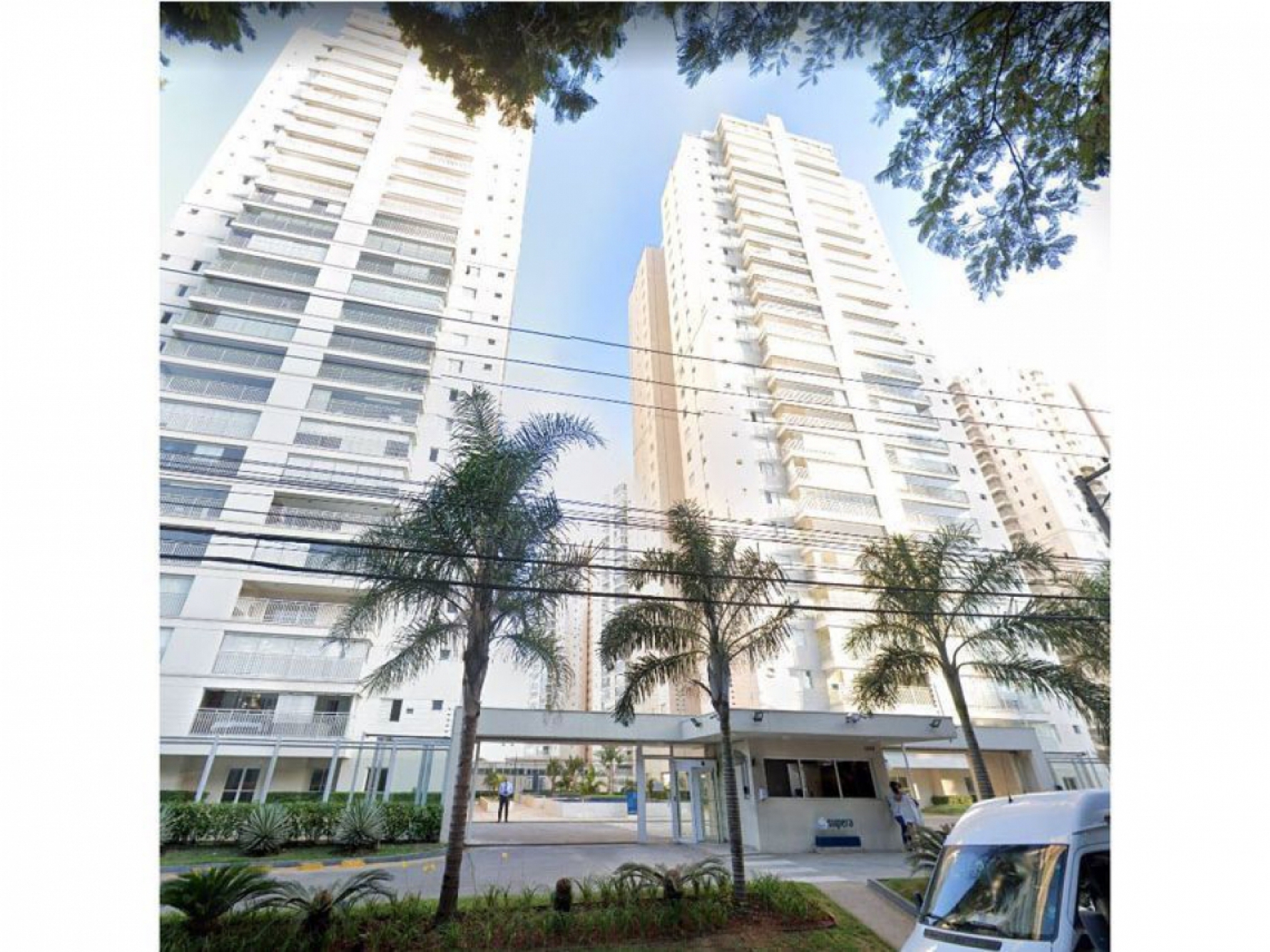 Entre os lotes, vale destacar um apartamento com 110 m² de área útil, localizado em Guarulhos Macaque in the trees