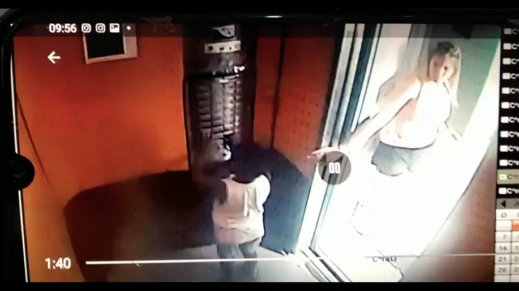 Imagens mostram Miguel dentro do elevador e patroa apertando o último andar do prédio (Foto: Reprodução/TV Globo) Macaque in the trees