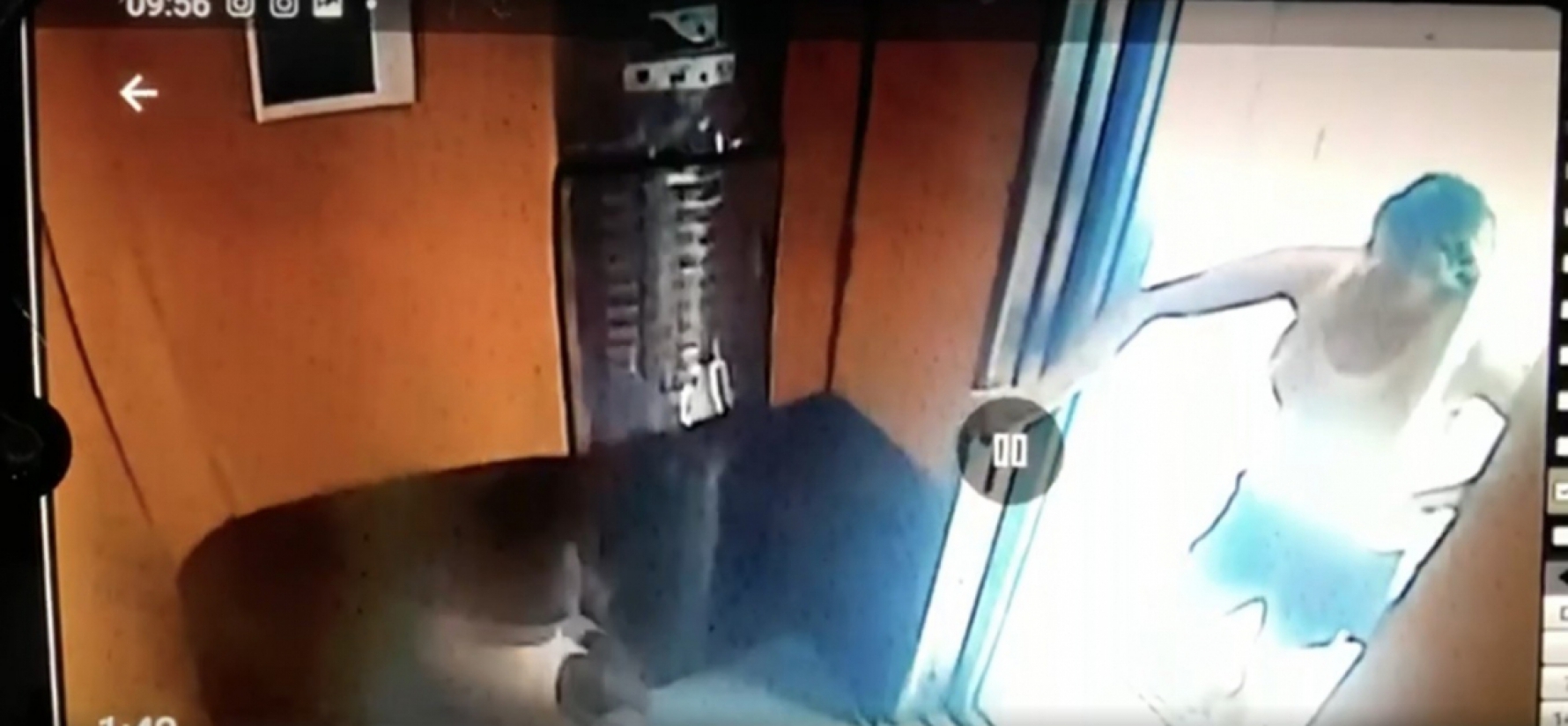 Menino teria ido duas vezes ao elevador (Foto: Reprodução/TV Globo) Macaque in the trees