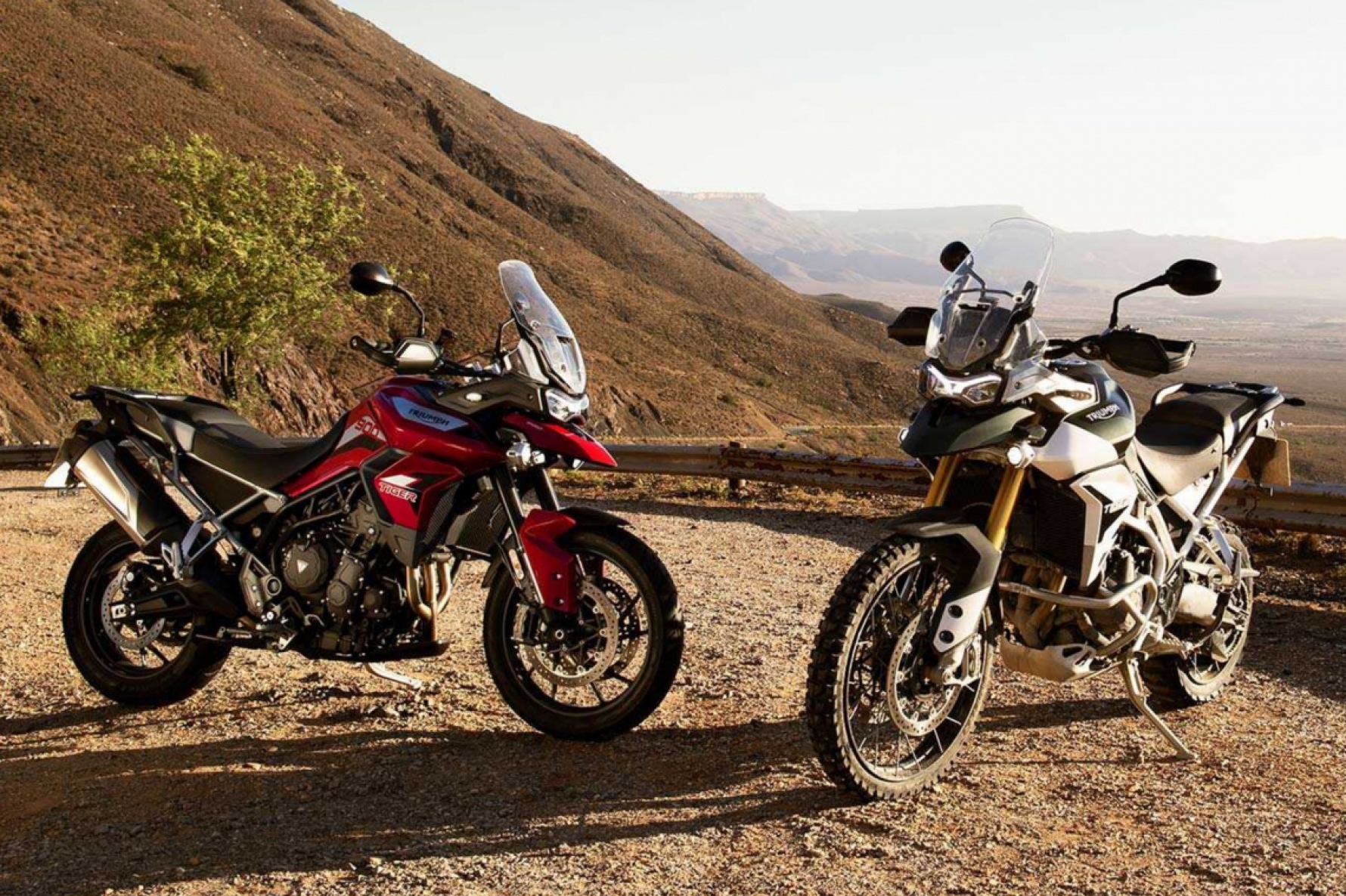 As Tiger 900 são os modelos topos de linha da marca, e vêm com motor de 888 cilindradas e transmissão de seis velocidades, com um sistema que troca as marchas sem usar a embreagem Macaque in the trees