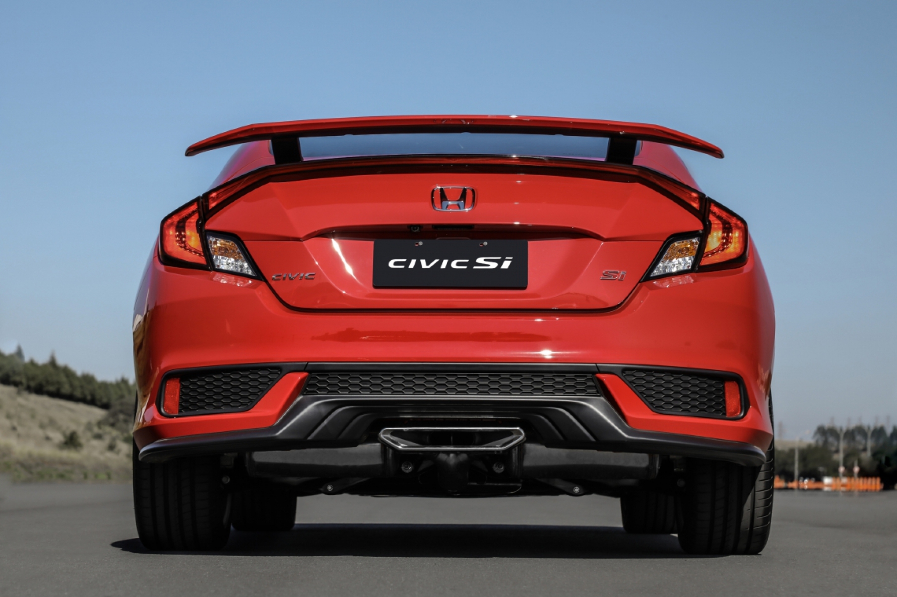Honda Civic Si 2020 Macaque in the trees