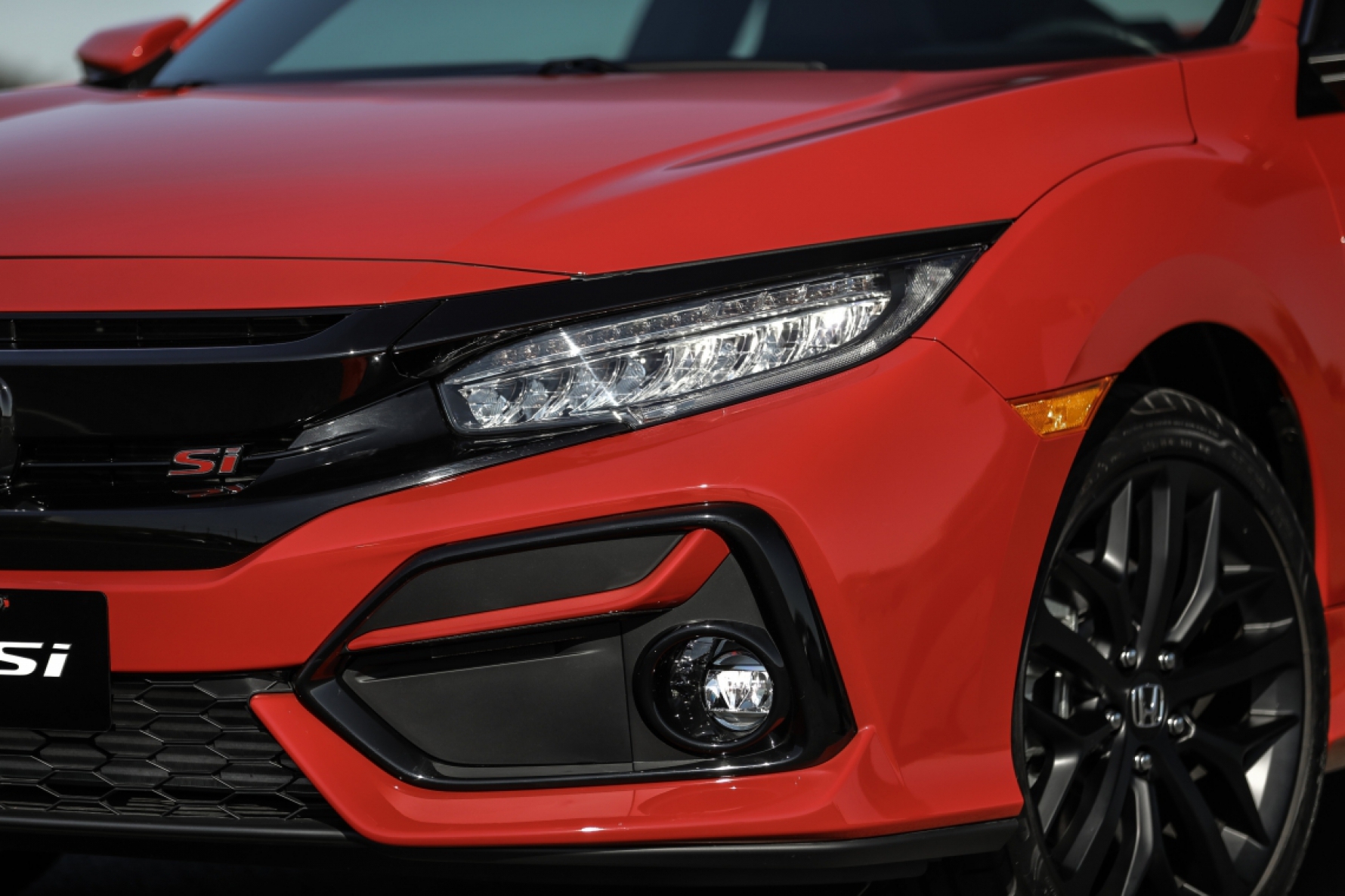 A dianteira do Honda Civic Si 2020 mantém a larga grade preta, grandes tomadas de ar no para-choque e faróis de led Macaque in the trees