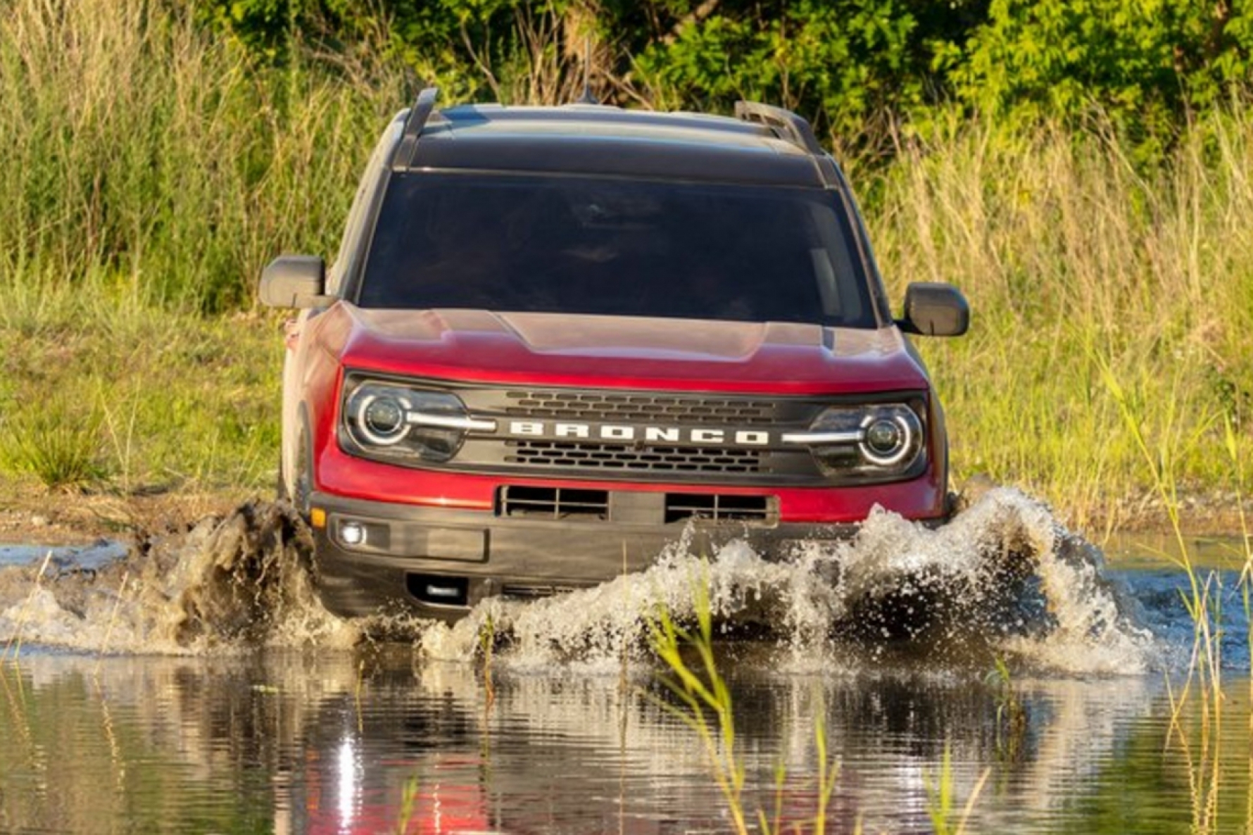 O Ford Bronco tem tração 4 x 4 e será vendido em vários países Macaque in the trees
