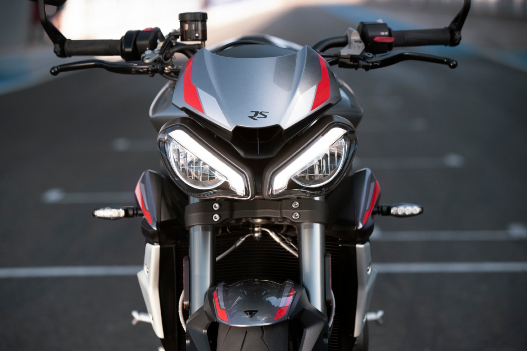 Os faróis de rodagem diurna da Street Triple RS têm design novo, que aumenta a visibilidade e a segurança na pilotagem Macaque in the trees