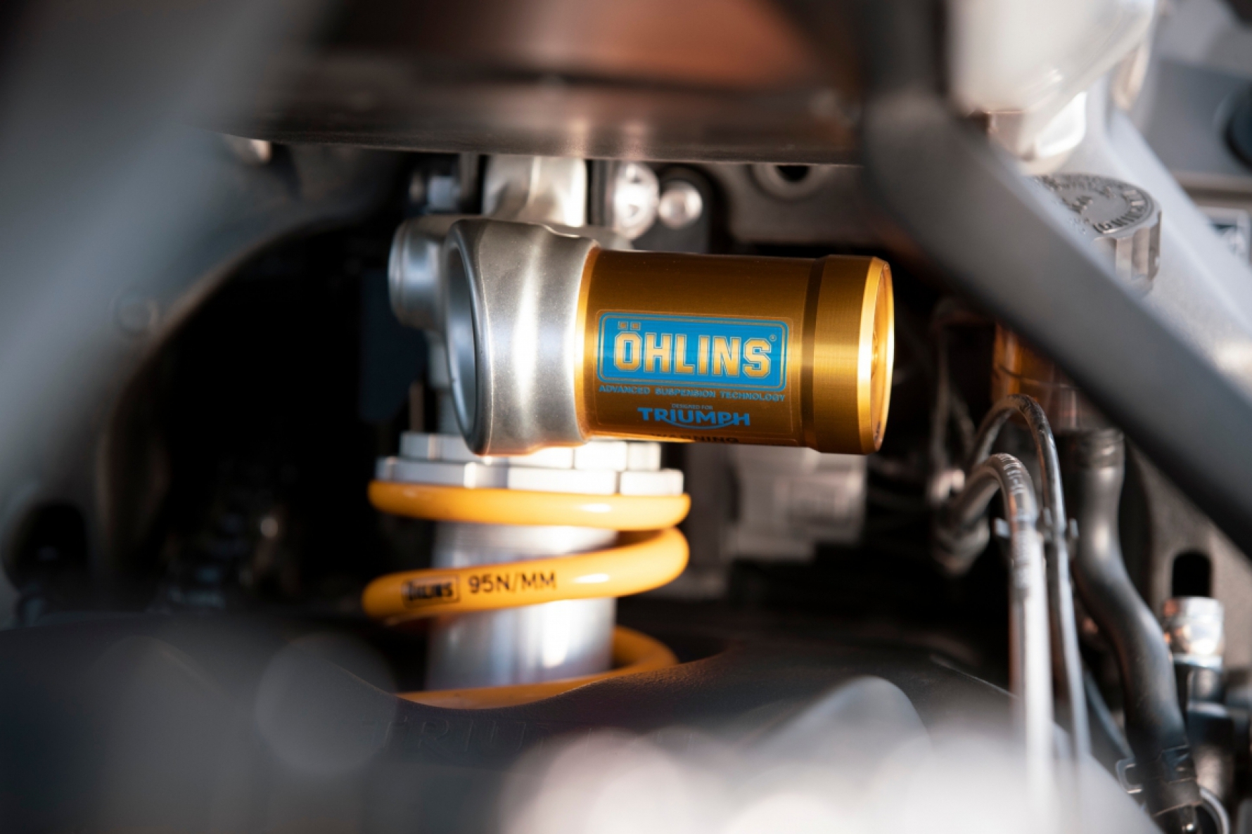 A Triumph Street Triple RS vem com um reservatório de gás Öhlins na traseira, regulável e com 131 milímetros de curso Macaque in the trees