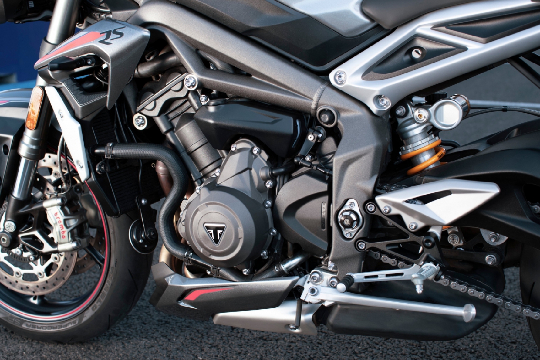 O motor é uma das novidades da Street Triple RS, com três cilindros de 765 cc e 123 cavalos de potência Macaque in the trees