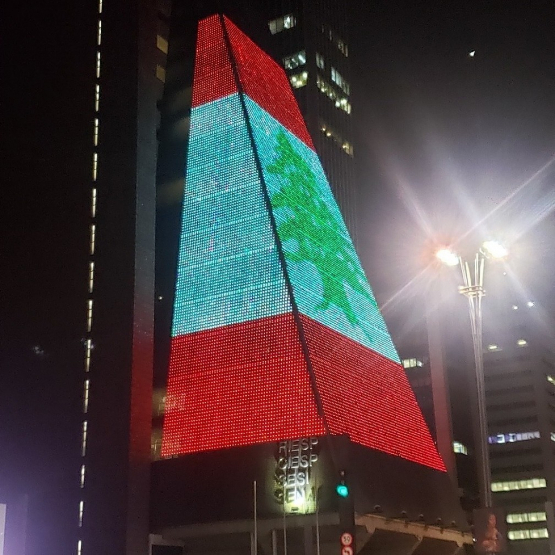O prédio da Fiesp, na avenida Paulista, também foi iluminado Macaque in the trees