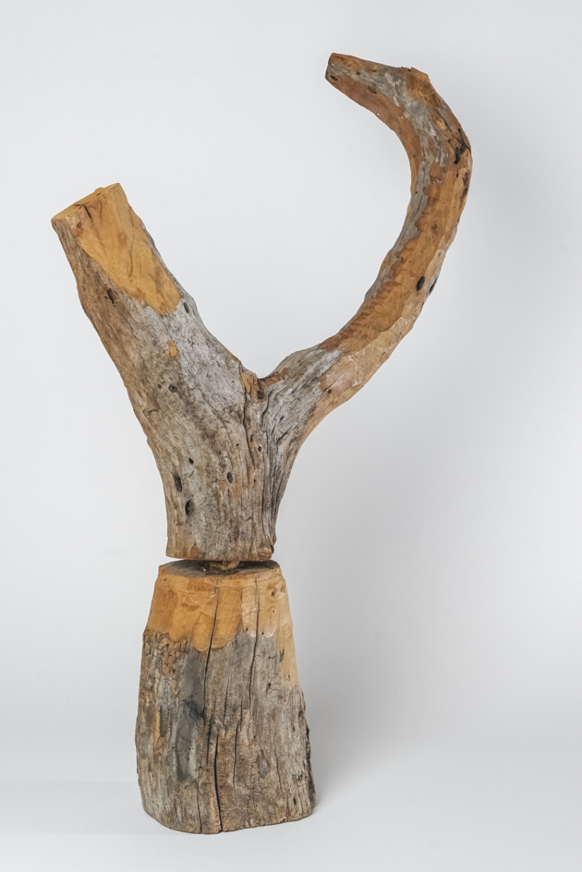 A obra do artista Zé Bezerra está disponível no leilão Macaque in the trees