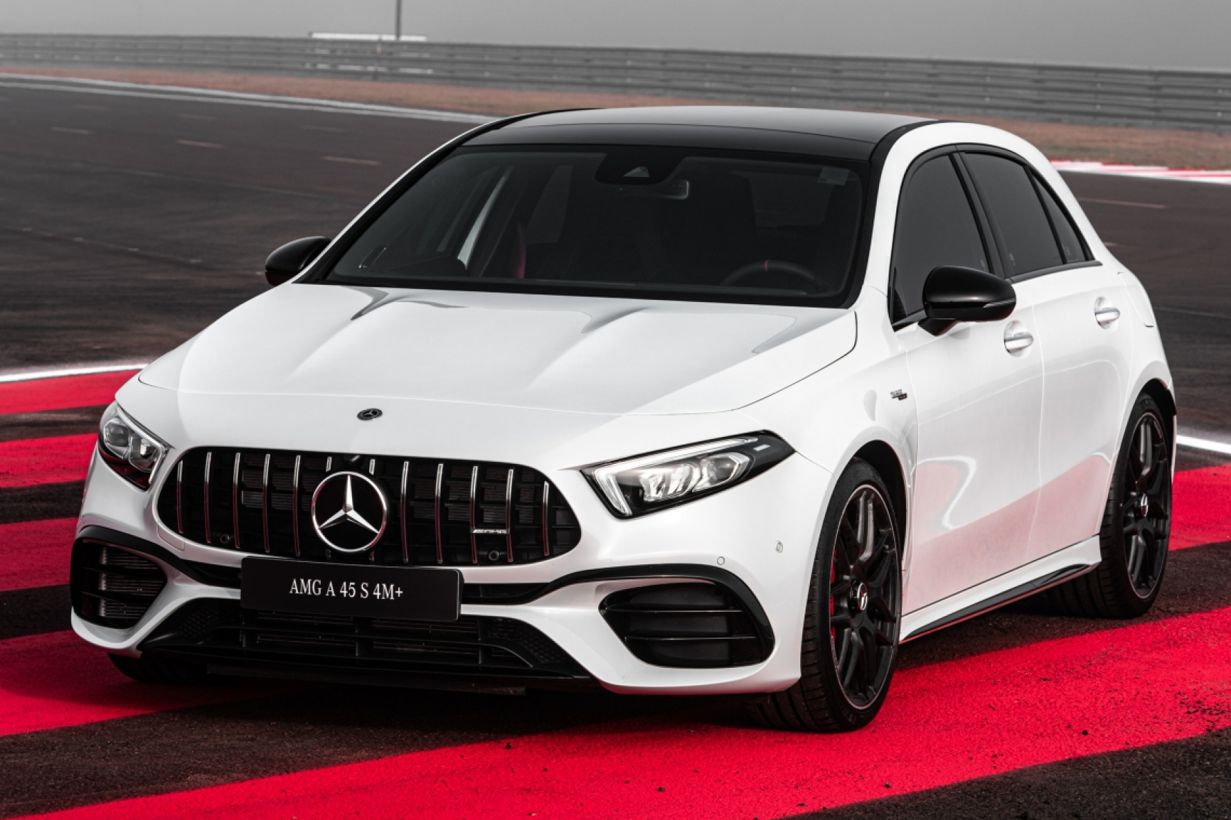 Mercedes-AMG A 45 S 4Matic Macaque in the trees
