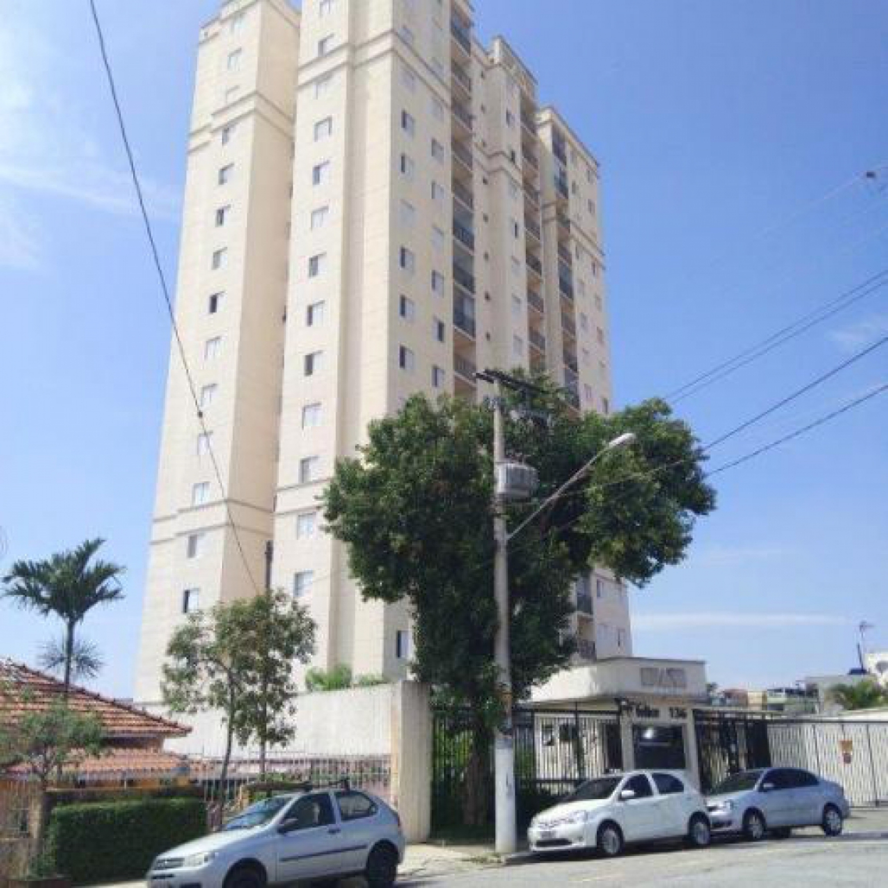 Apartamento em São Paulo (Foto: Divulgação/Sold Leilões) Macaque in the trees