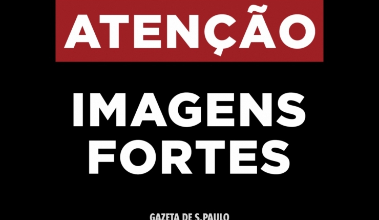 Arte: Gazeta de S.Paulo Macaque in the trees