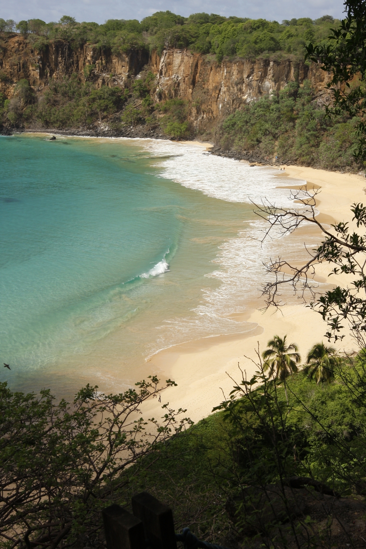 PRAIA DO SANCHO. Vizinha à Baía dos Porcos, a praia é igualmente bela e hipnotizante, mas o acesso a ela é controlado. Precisa adquirir um ingresso do Parque Nacional Marinho da ilha e descer por uma passarela. A vista de cima da praia e a cor da água prendem a atenção. Macaque in the trees