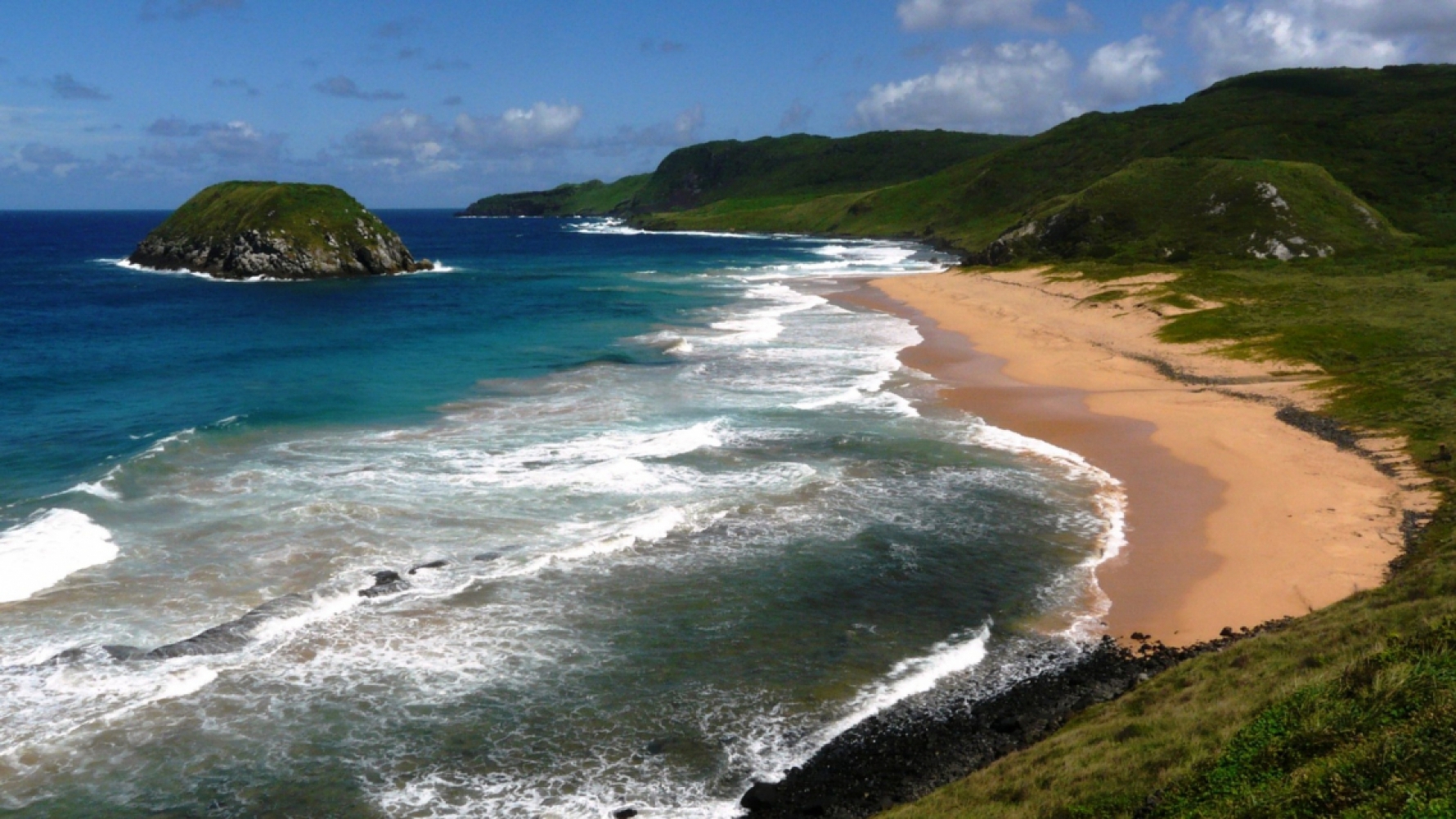 PRAIA DO LEÃO: Não está entre as mais conhecidas e, por ser mais isolada, é ideal para quem procura locais mais calmos. A praia também é o principal ponto de desova das tartarugas. Os biólogos do Projeto Tamar acompanham os animais na parte da noite - por conta disso, a presença de turistas é proibida a partir das 18h Macaque in the trees