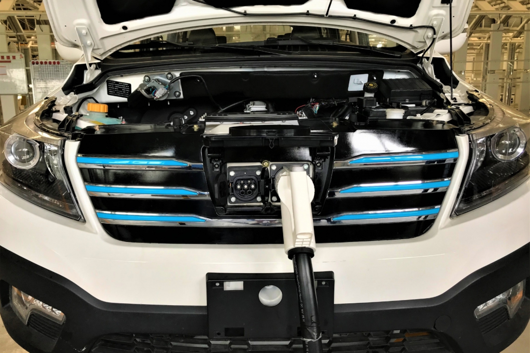 O motor terá 90 cavalos de potência e baterias de 63 kWh Macaque in the trees