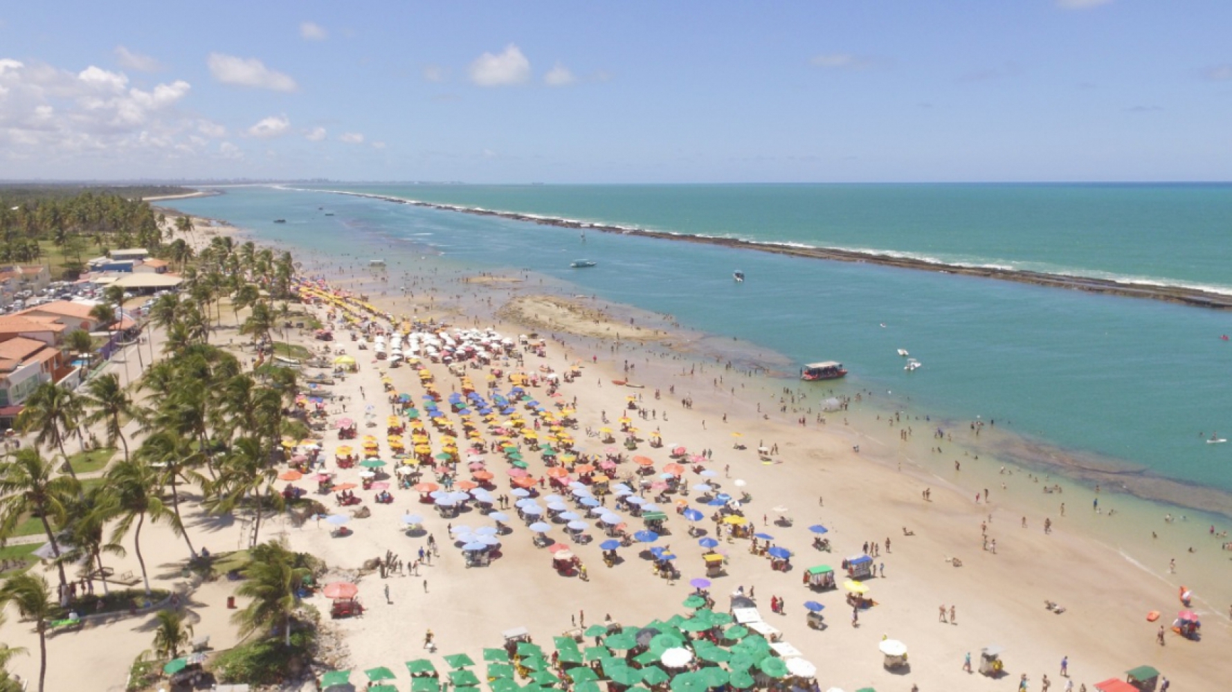 MACEIÓ. A praia do Francês (foto) é um dos grandes chamarizes para conhecer a capital alagoana. A Submarino Viagens vem com um pacote de 7 dias e 6 noites, com hospedagem com café da manhã, saindo de São Paulo, a partir de R$ 2.736 por pessoa, em quarto duplo, com saída em 26 de dezembro. Macaque in the trees