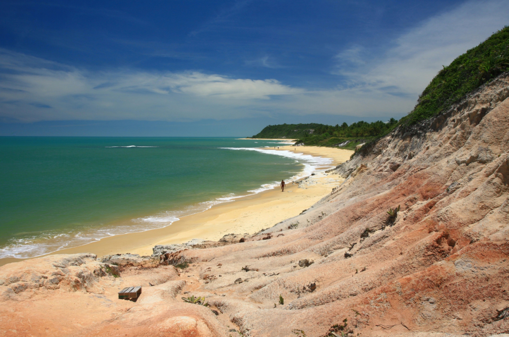 PORTO SEGURO. A praia do Espelho (foto) é uma das atrações da cidade baiana. A CVC preparou um pacote com 7 dias e 6 noites, saindo de São Paulo, com hospedagem e café da manhã, a partir de R$ 2.925 por pessoa em quarto duplo, e saída em 26 de dezembro. Macaque in the trees