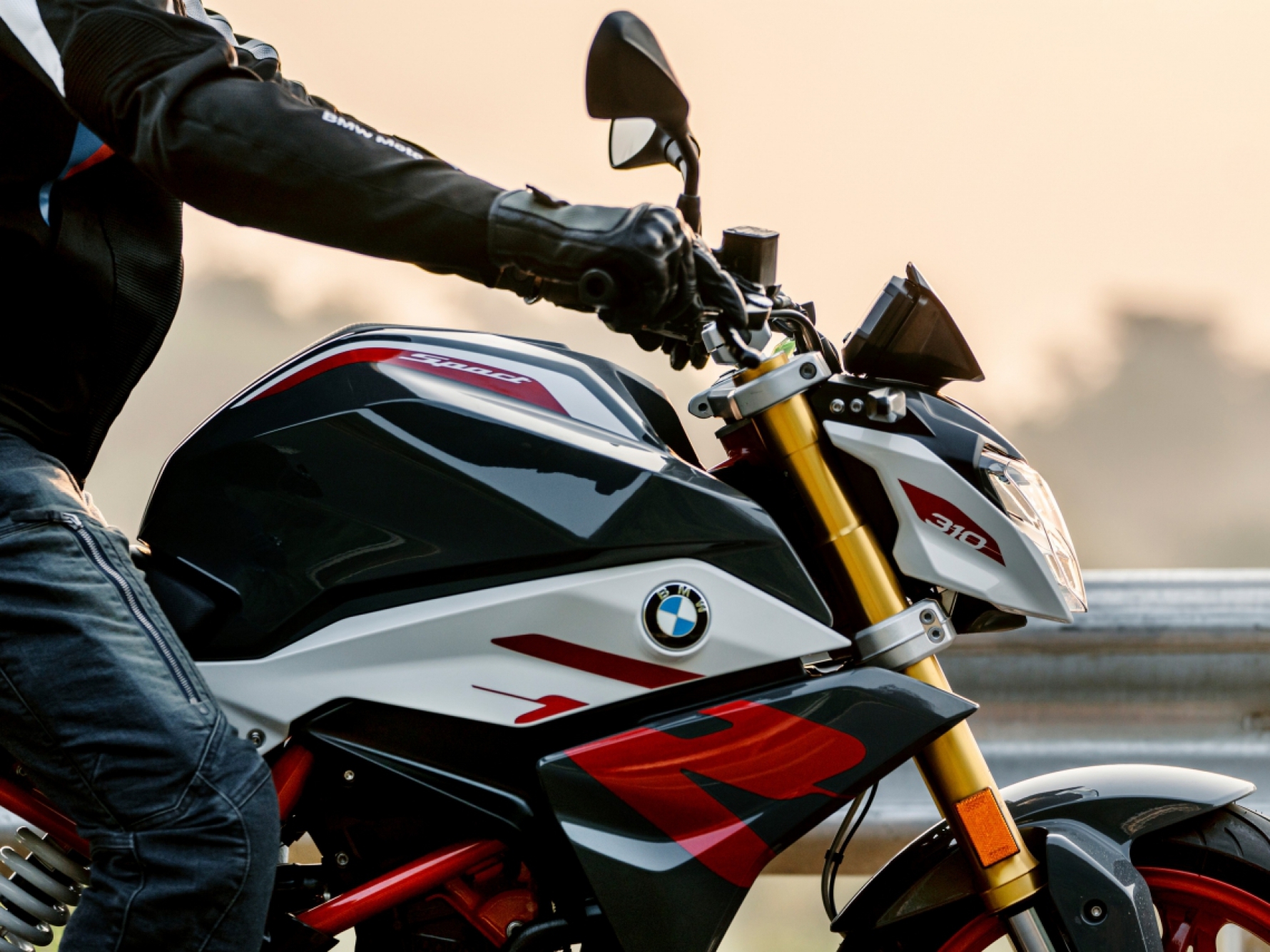 O motor da G 310 R é monocilíndrico de refrigeração líquida com quatro válvulas e injeção eletrônica de combustível Macaque in the trees