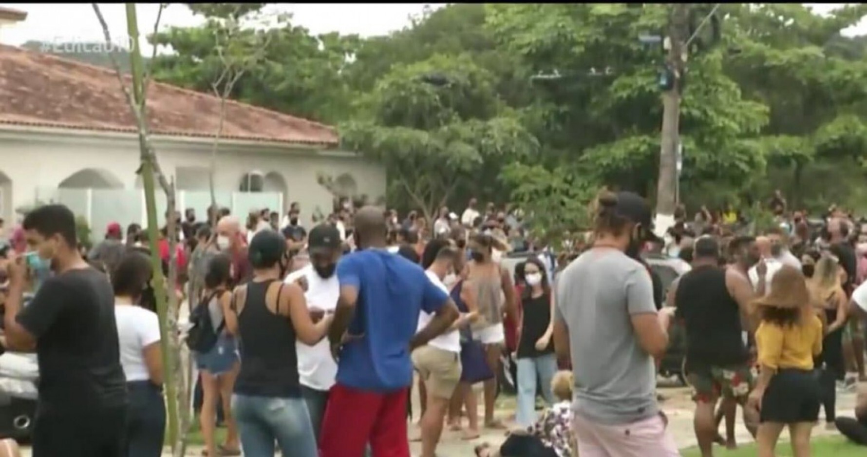 Manifestação reuniu trabalhadores de diferentes setores Macaque in the trees