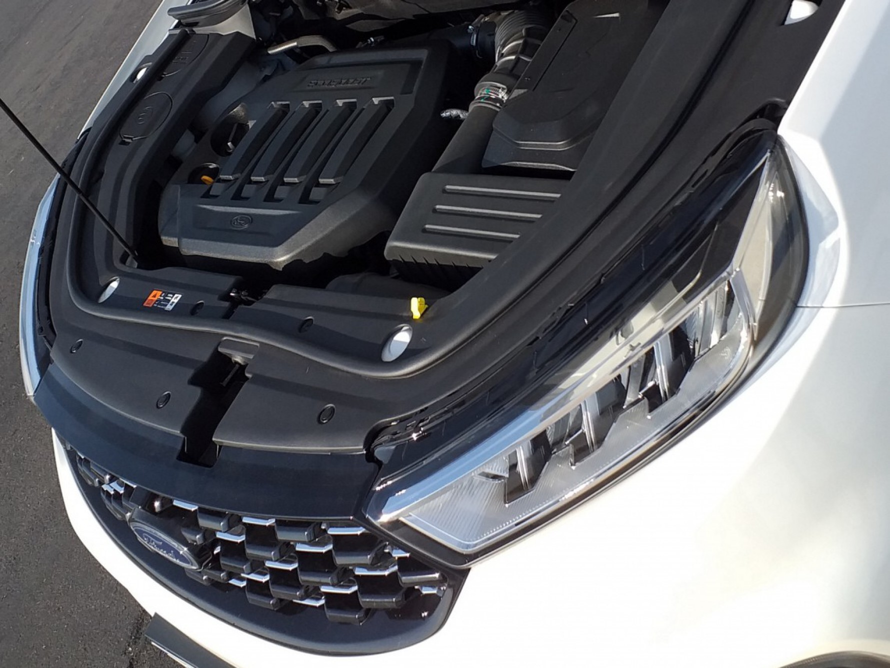 O motor da Territory é um 1.5 Turbo EcoBoost a gasolina com quatro cilindros, e a transmissão é automática com 8 marchas Macaque in the trees