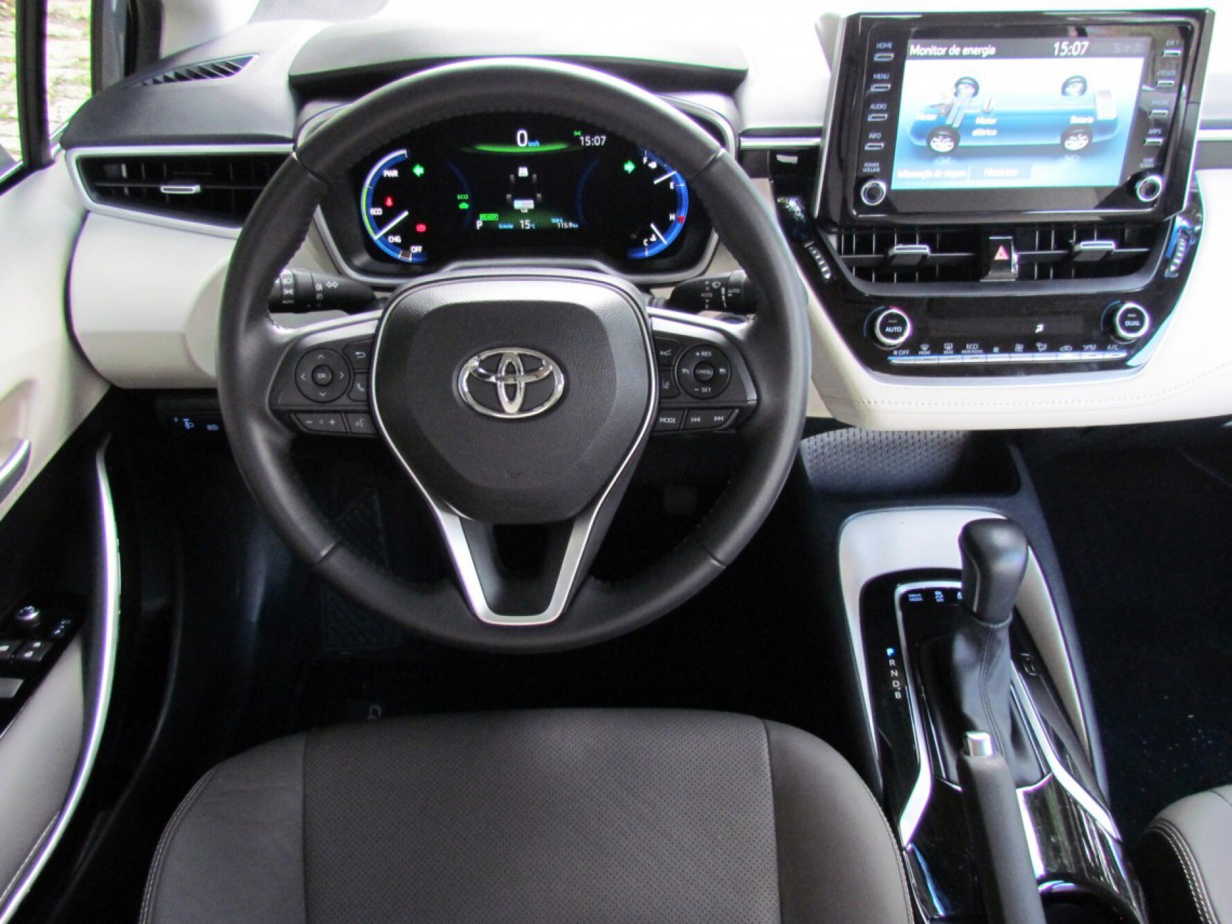 Toyota Corolla Altis Hybrid Macaque in the trees