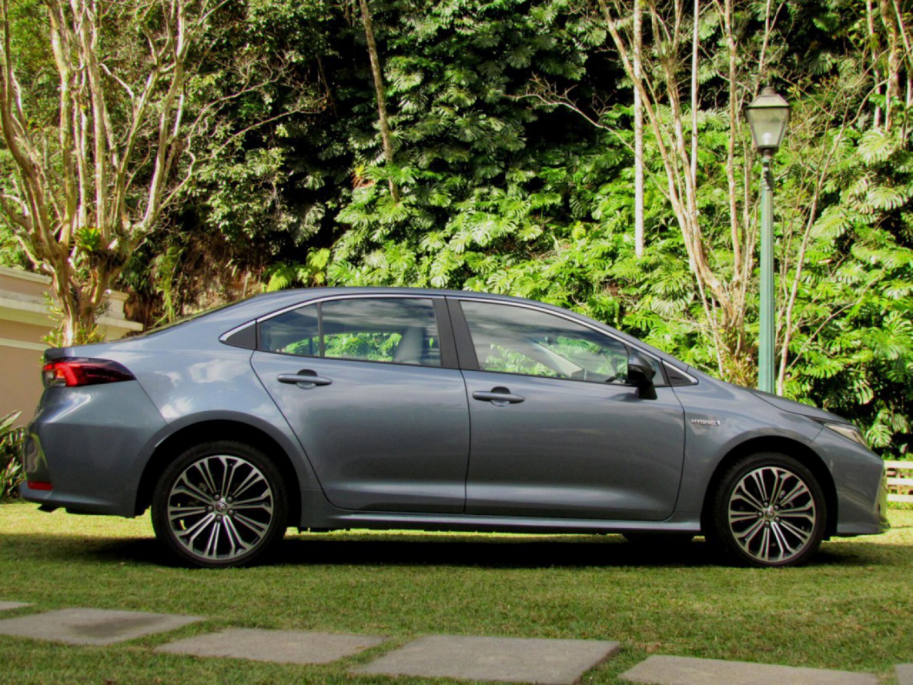 O Corolla Altis Hybrid vem com seis airbags, controle eletrônico de tração e estabilidade, câmera de ré e teto solar Macaque in the trees