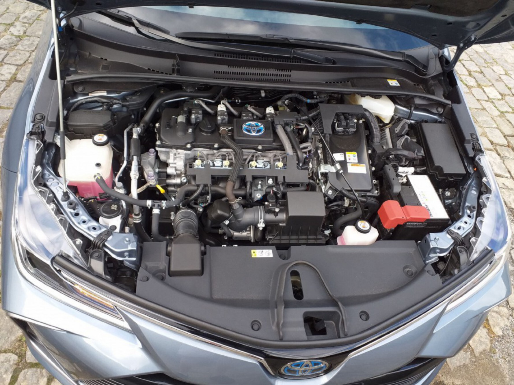 O Hybrid tem um motor a combustão de quatro cilindros e dois motores elétricos de 53 kW; combinados, chegam a 123 cavalos Macaque in the trees