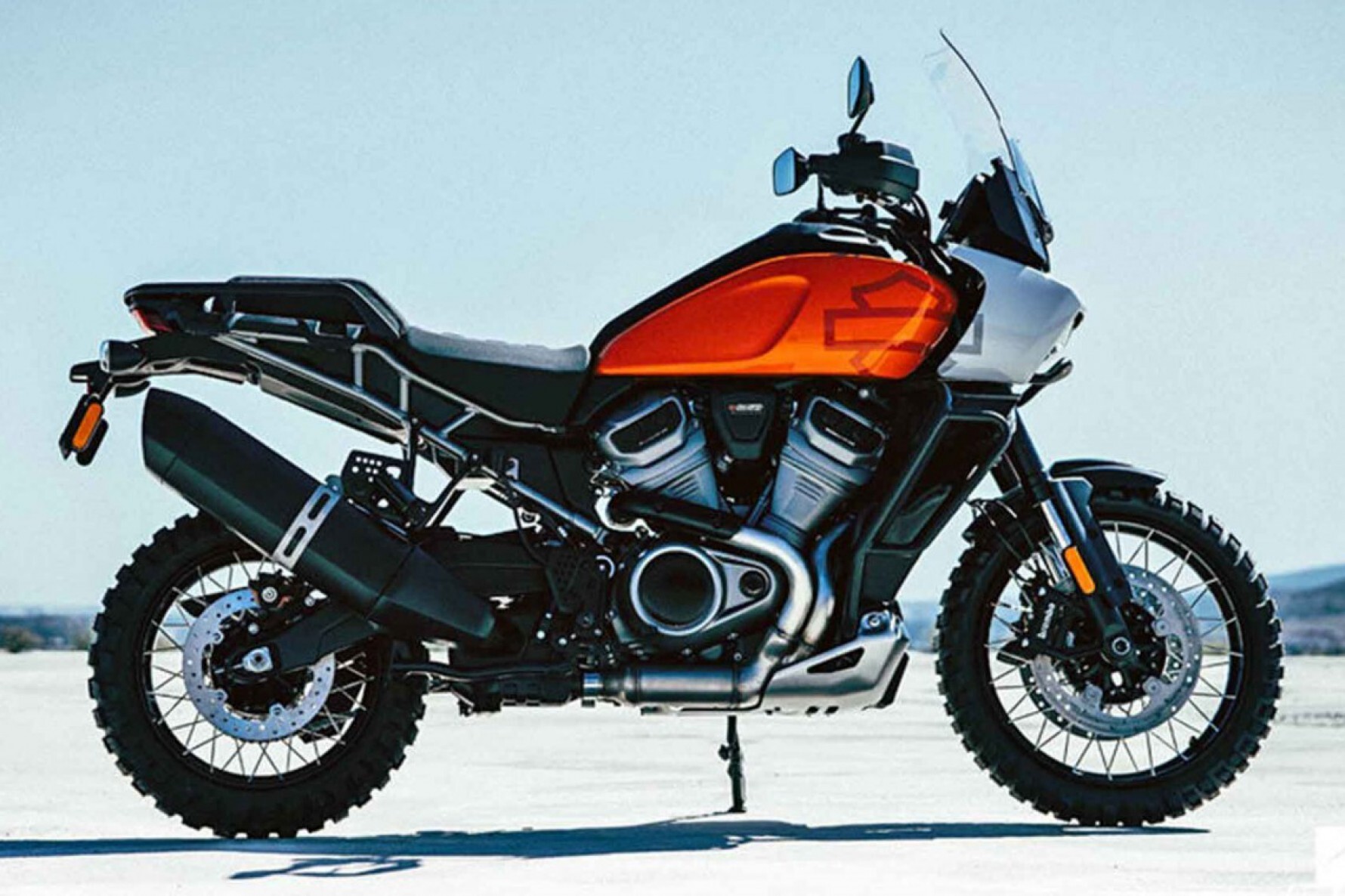 A Harley-Davidson Pan America virá com um motor de 1.250 cm3, 145 cavalos de potência e deverá chegar ao Brasil no segundo semestre de 2021 Macaque in the trees