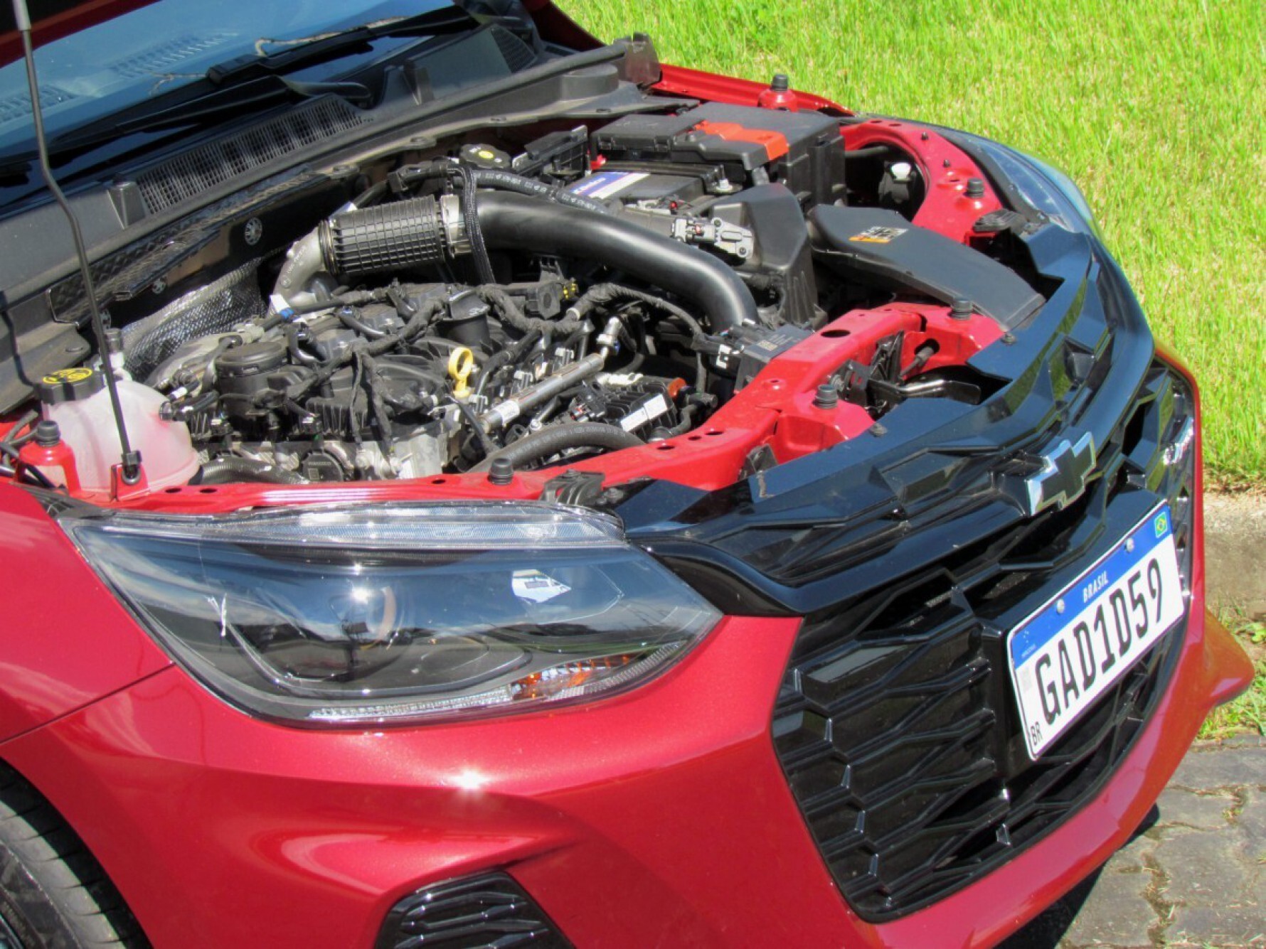 O motor do Onix RS é 1.0 turbo Ecotec, com três cilindros e 12 válvulas, e tem transmissão automática de seis velocidades Macaque in the trees