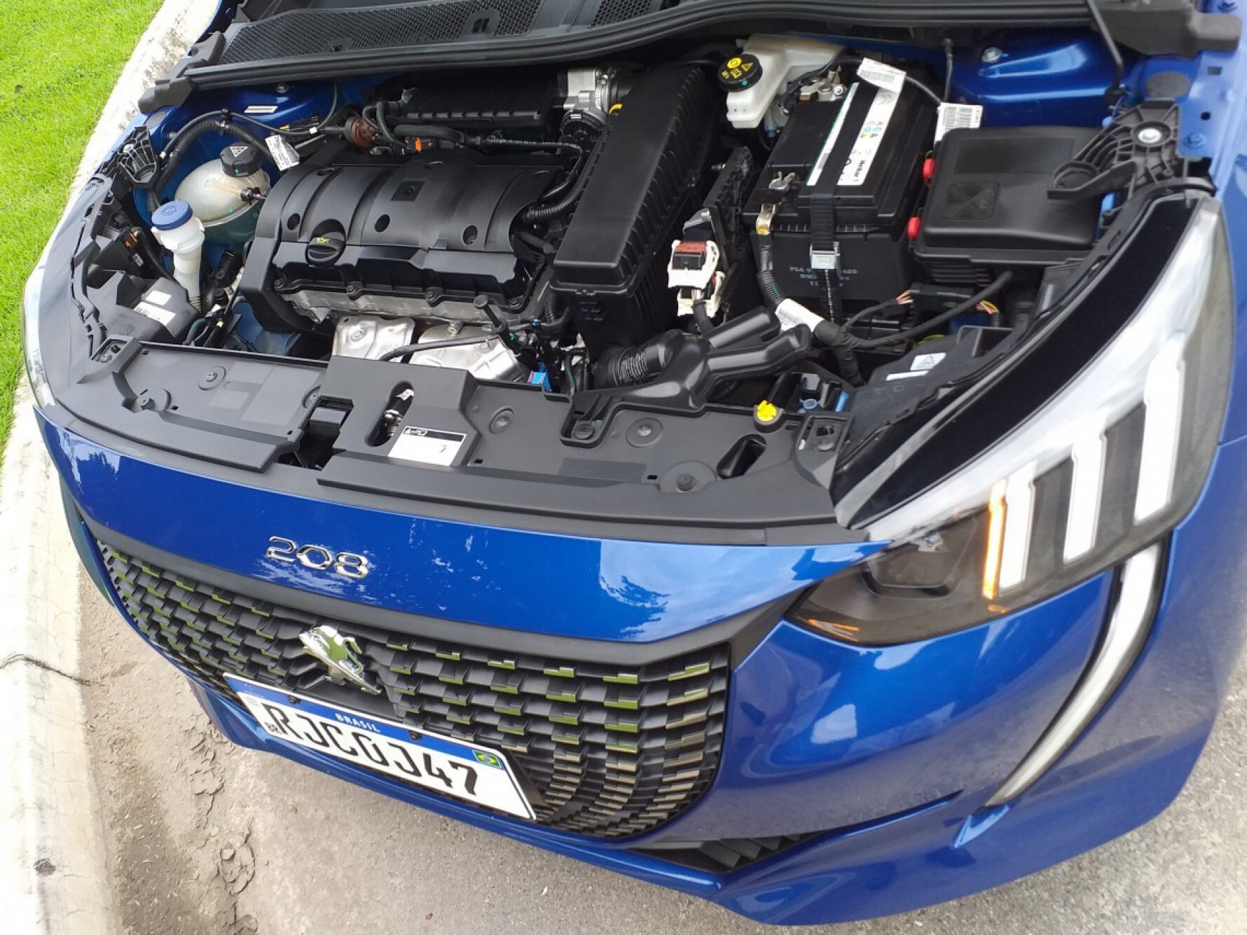 O motor do Peugeot 208 Griffe é um 1.6 flex 16 válvulas, e ele tem transmissão automática sequencial de seis marchas Macaque in the trees