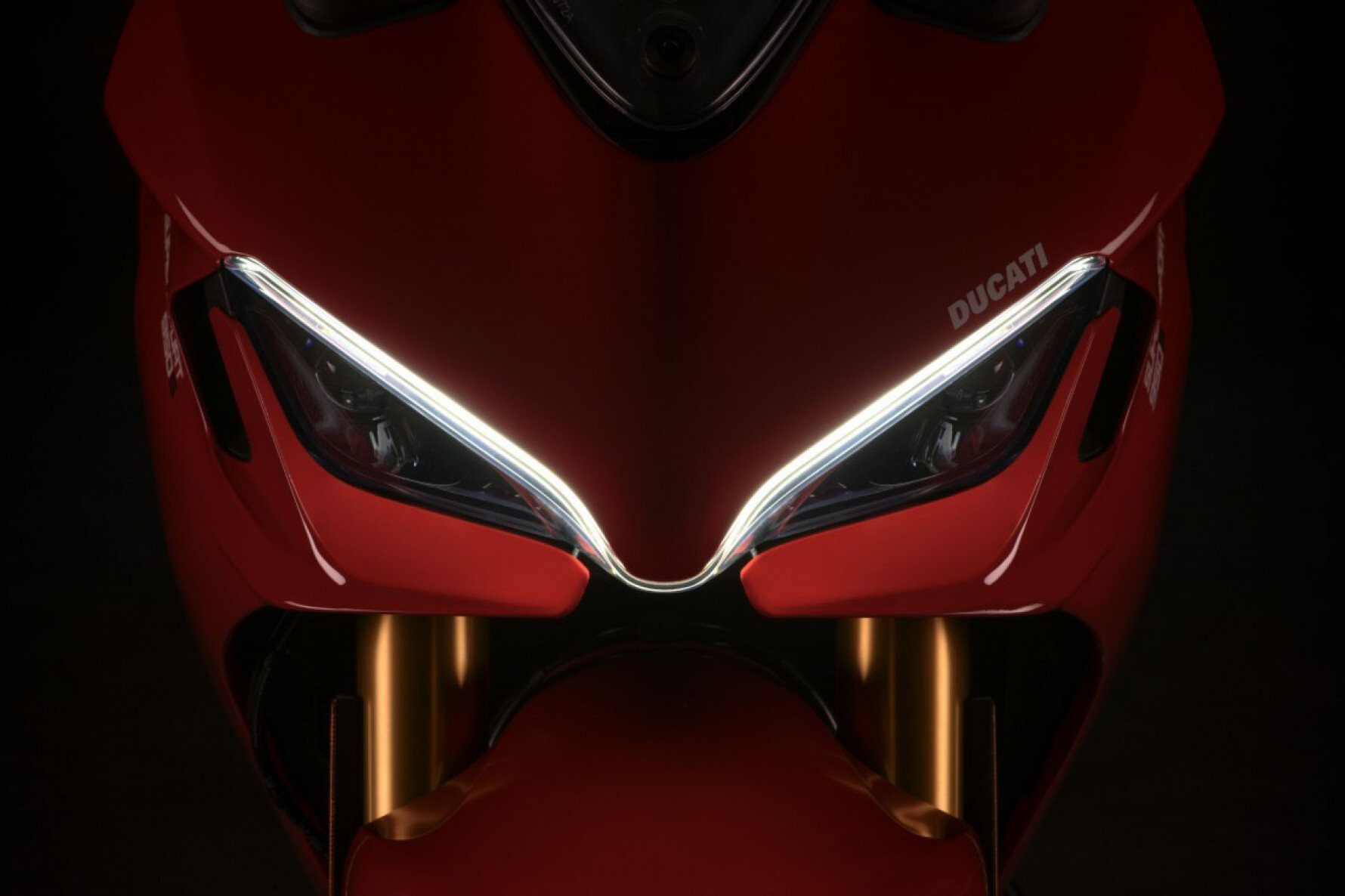 A SuperSport 950 busca combinar o caráter esportivo com uma utilização diária em estrada; modelo tem aprimoramentos na eletrônica e equipamentos Macaque in the trees