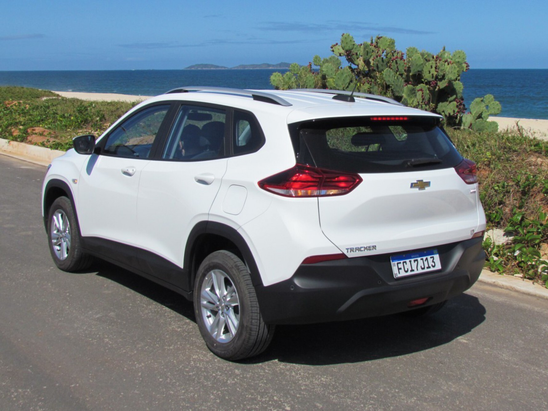 Novato da Chevrolet totalizou 49.378 emplacamentos no ano passado e foi o quarto utilitário esportivo mais vendido no Brasil, em 2020; os preços do Tracker 1.0 turbo LT partem de R$ 101.190 Macaque in the trees