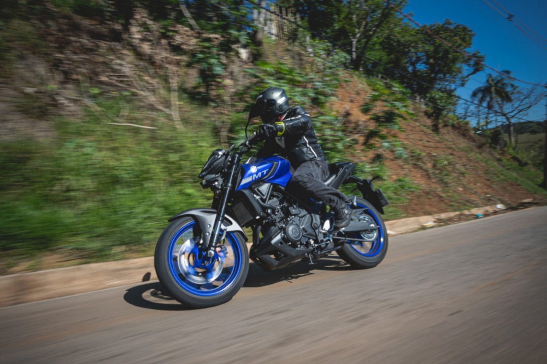 Vai comprar uma moto usada? Então, se possível, é bom andar na motocicleta para testar, desde que o vendedor permita Macaque in the trees