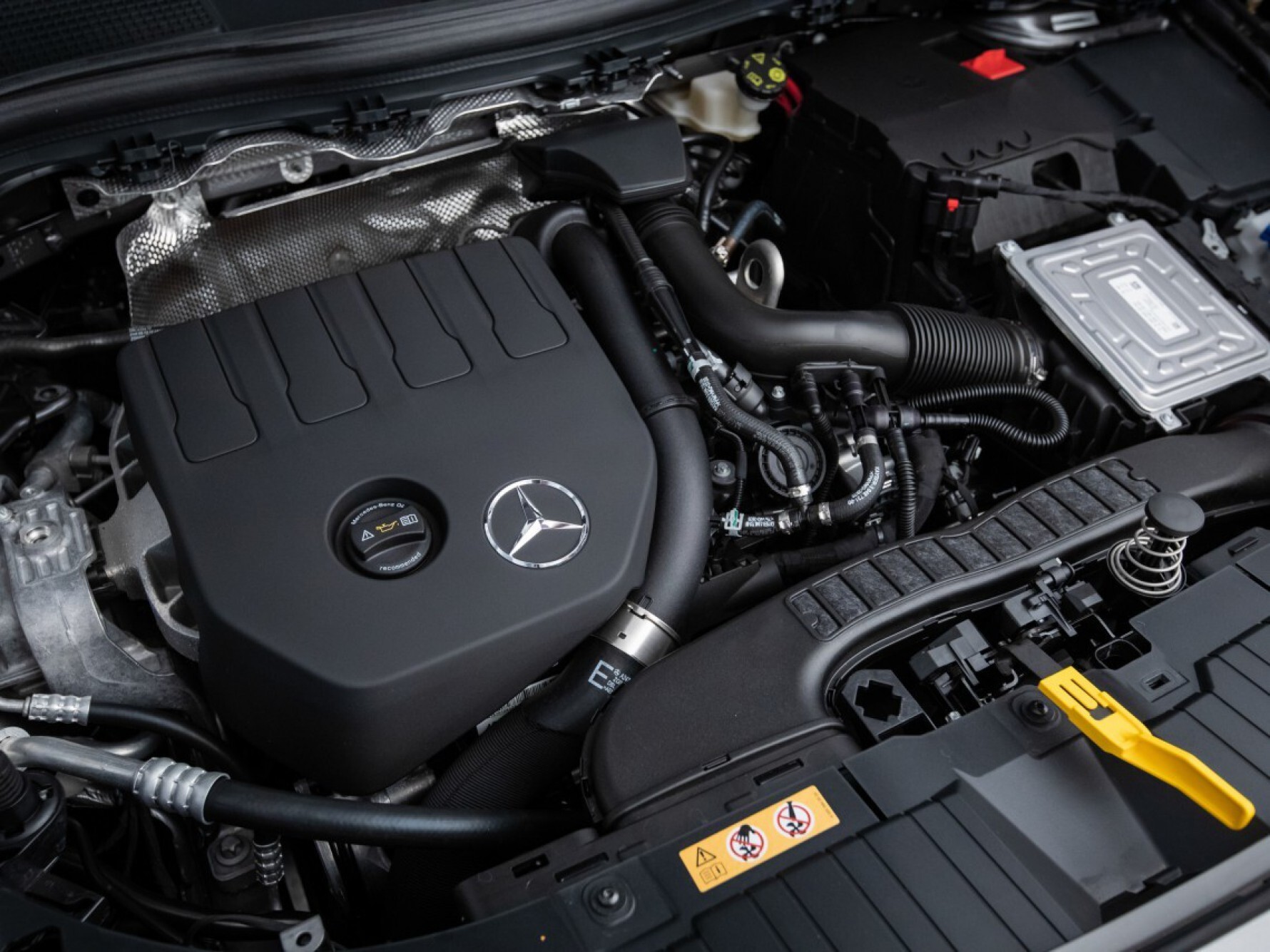Dentre as características do motor, estão o fato de ser 1.3 16V turbo, quatro cilindros, injeção direta e desativação de cilindros Macaque in the trees