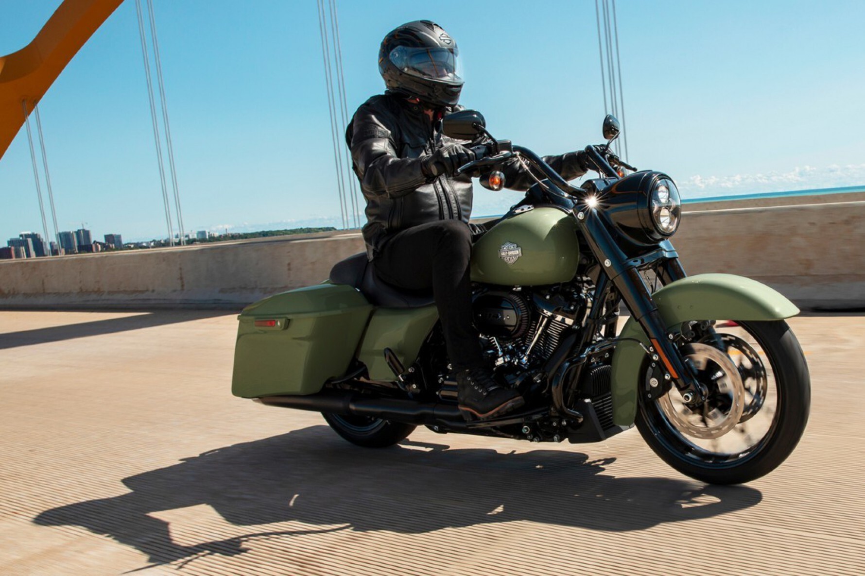 Fat Boy 114, Street Glide Special, Road Glide Special e Road King Special (foto) são movidas pelo mesmo motor Milwaukee-Eight 114 V-Twin. Macaque in the trees