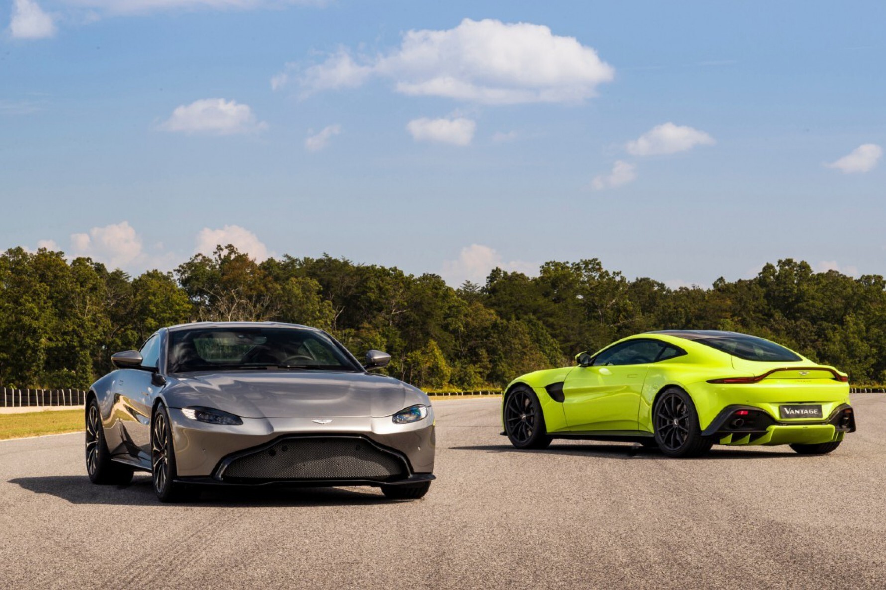 O modelo de dois lugares da Aston Martin tem todos os princípios de pureza, beleza e proporcionalidade. O nome Vantage é usado pela fábrica desde a década de 50 e é sinônimo de desempenho, sendo um dos modelos de referência da marca Macaque in the trees