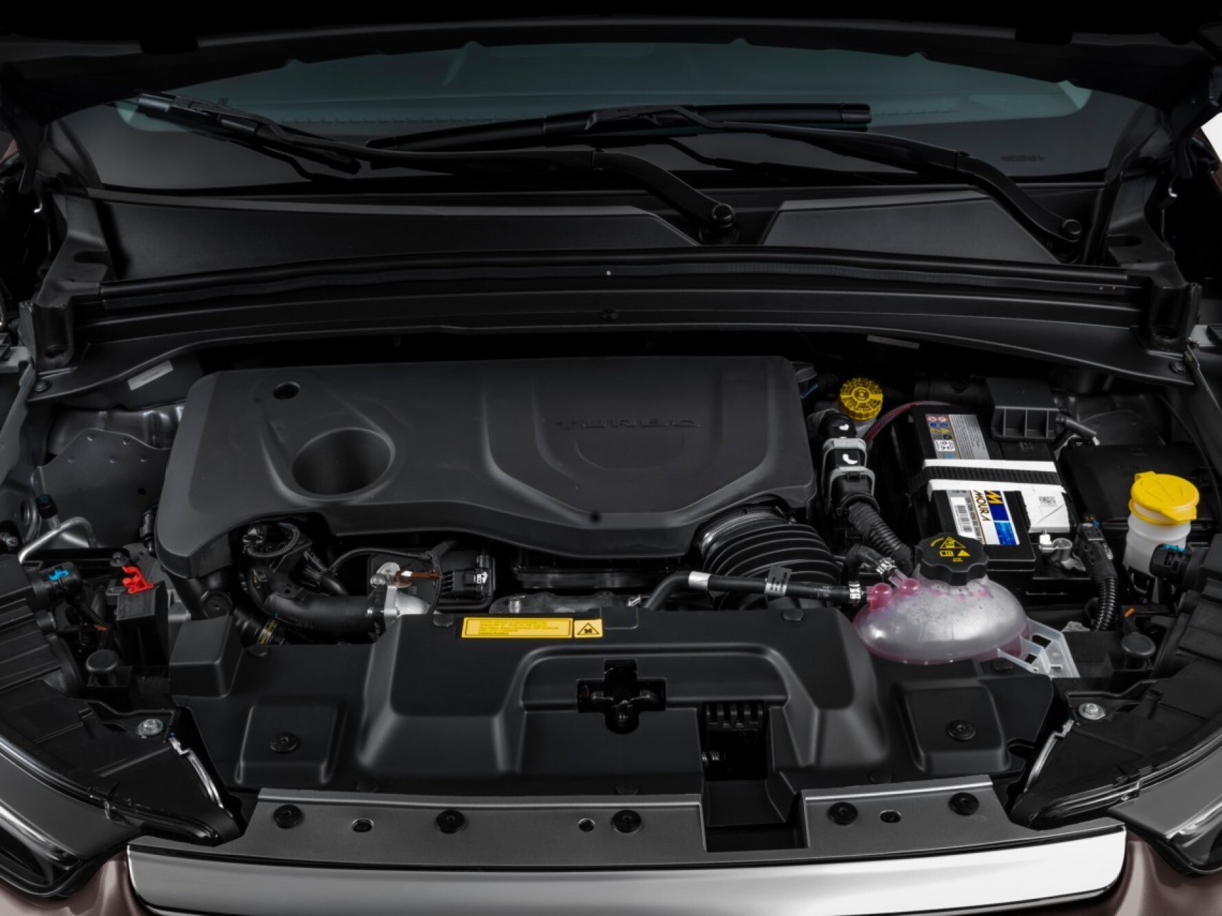 A linha Toro 2022 estreia o motor turbo flex mais potente e de maior torque produzido no Brasil Macaque in the trees