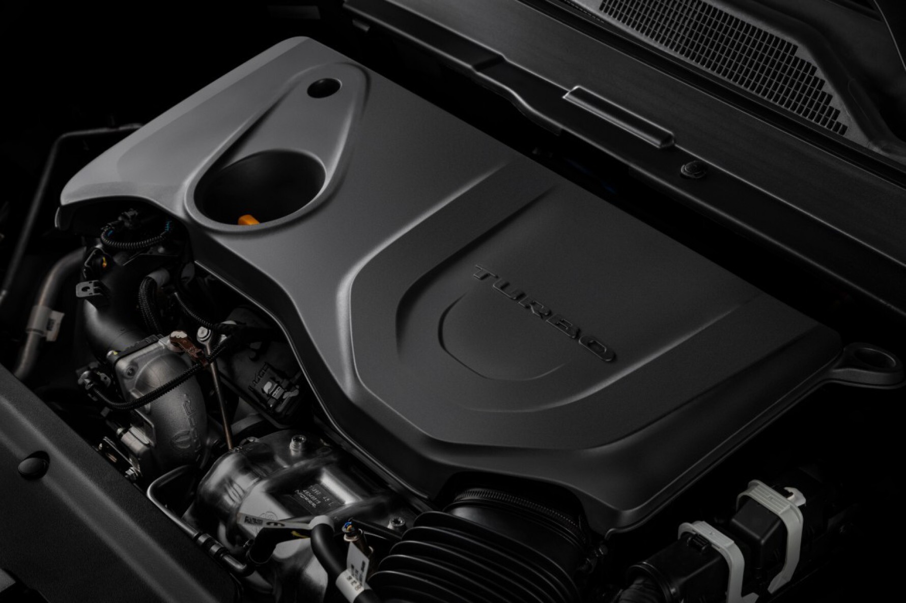 A Jeep estreia no Compass linha 2022 o motor T270 – já apresentado na nova Fiat Toro –, com os maiores torque e potência entre os propulsores flex produzidos no Brasil Macaque in the trees