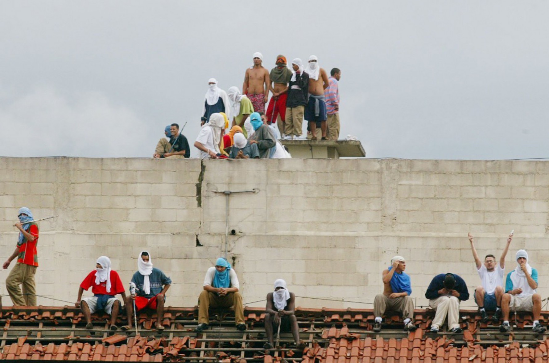 Rebelião PCC cadeião de Pinheiros. Na época, 25 mil detentos em 73 unidades prisionais paulistas se rebelaram Macaque in the trees