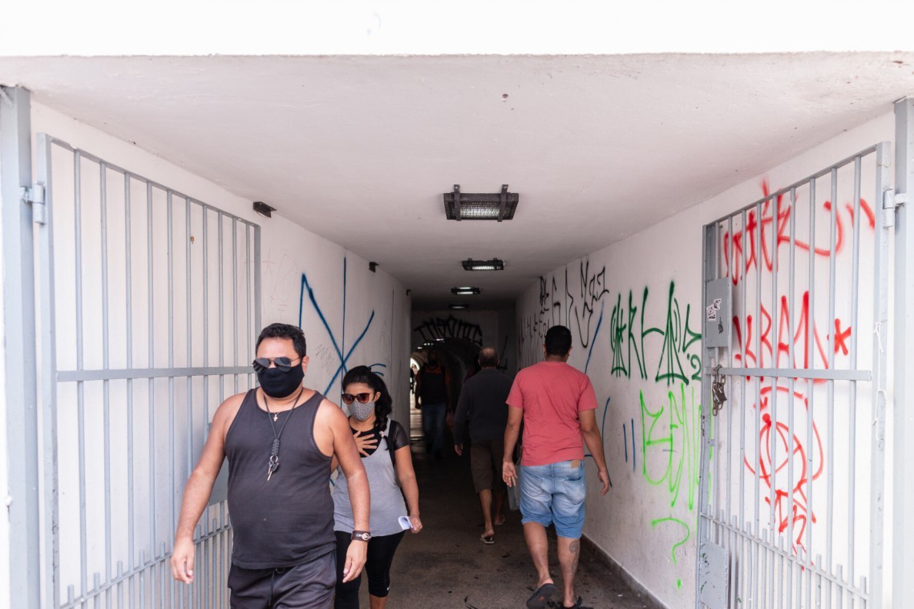 Toca da Onça liga a rua a estações da CPTM, na Lapa, zona oeste de São Paulo Macaque in the trees