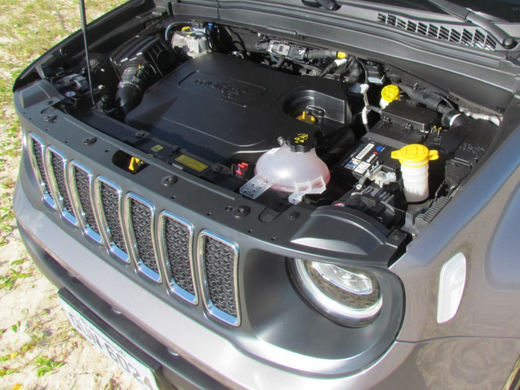 O motor é 2.0 Multijet II de 170 cavalos a 3.750 rotações por minuto e 35,7 kgfm de torque a 1.750 giros Macaque in the trees