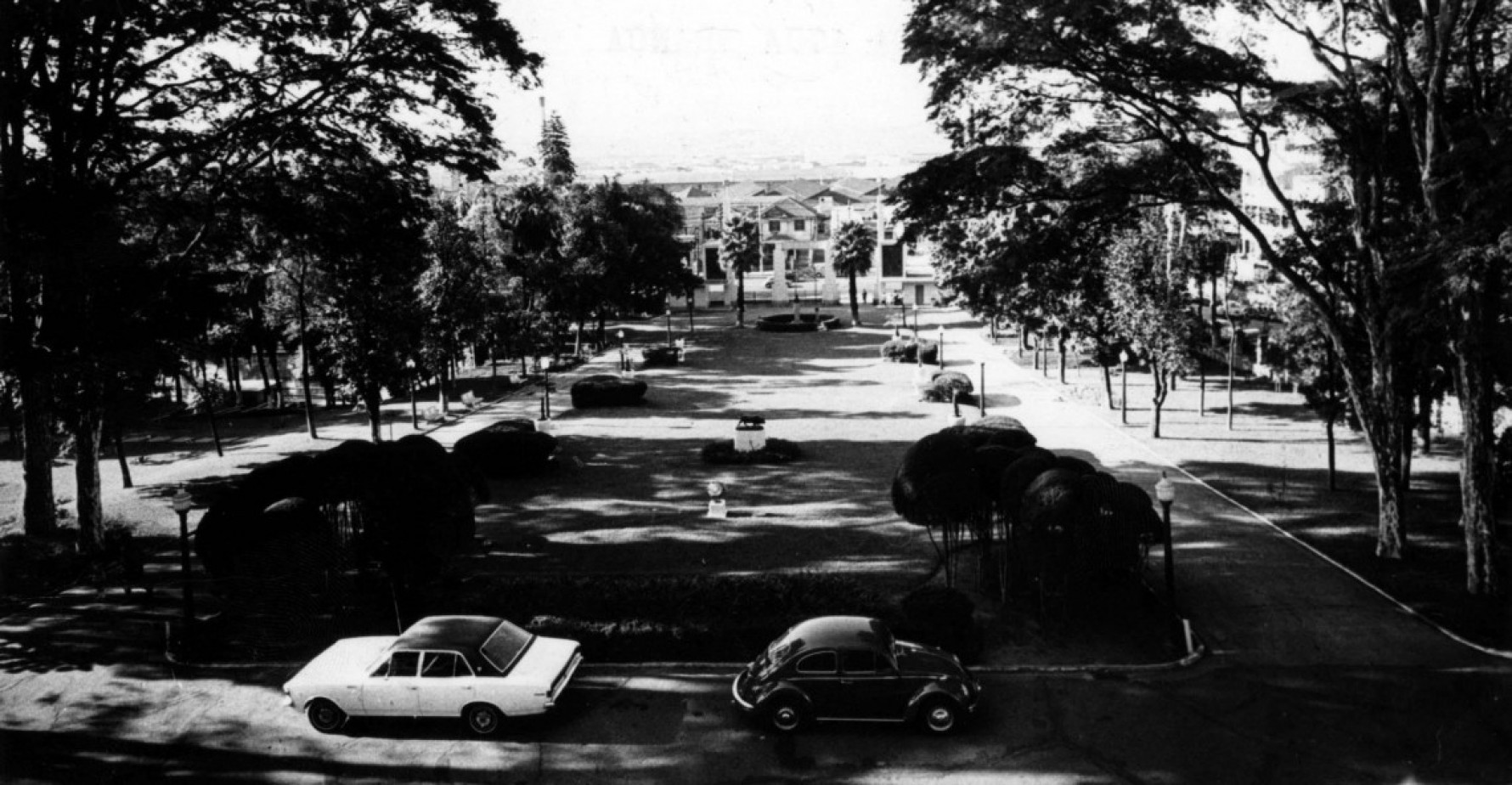 Entre os anos de 1939 e 1942, o governo de São Paulo realizou diversas desapropriações até totalizar a área atual do Parque. Foto do parque, em 1972 Macaque in the trees