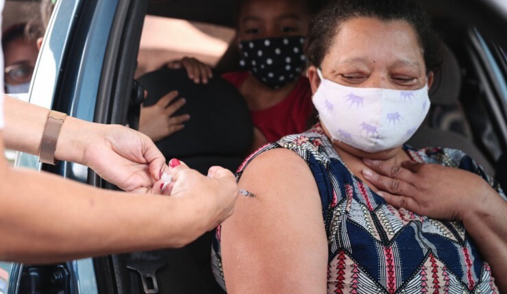 Vacinação contra o coronavírus na manhã desta quarta-feira (9) em Embu das Artes, na região sudoeste da Grande São Paulo Macaque in the trees