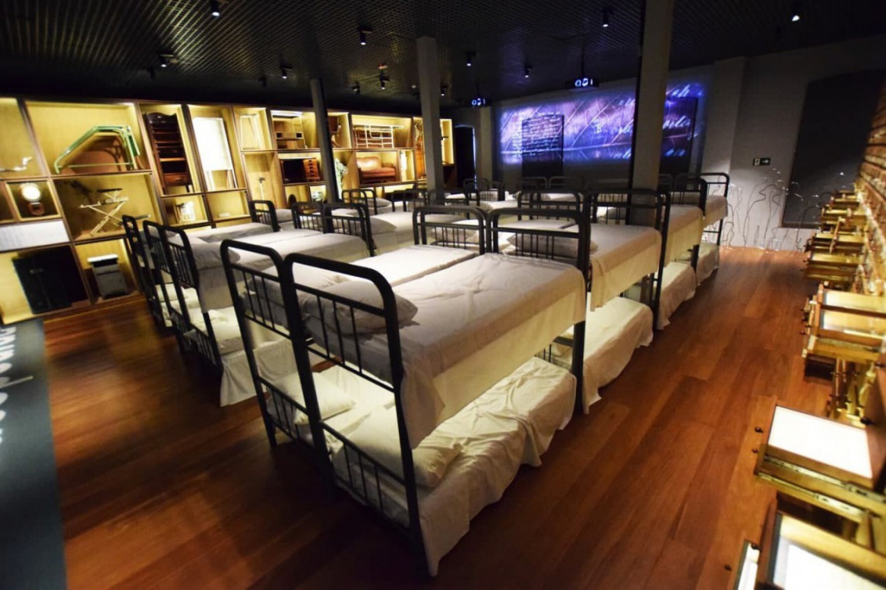 Desde 2010, o Museu da Imigração vem se reposicionando conceitualmente, adotando a ideia de imigração como direito humano, abarcando também as migrações contemporâneas Macaque in the trees