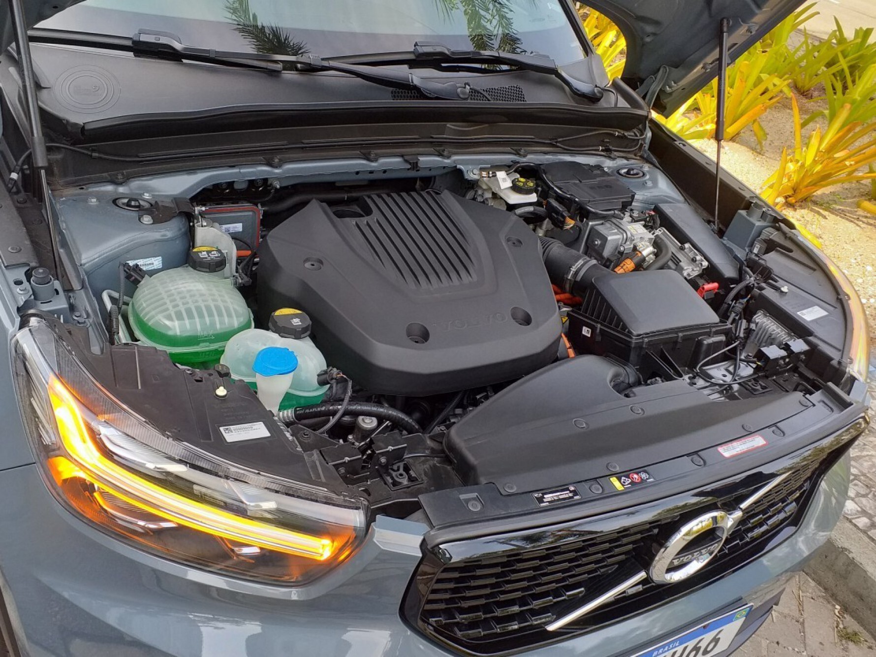 O motor tricilíndrico de 1,5 litro turbo a gasolina com 180 cavalos trabalha associado a um elétrico de 82 cavalos, em uma potência combinada de 262 cavalos e torque combinado de 43 kgfm Macaque in the trees