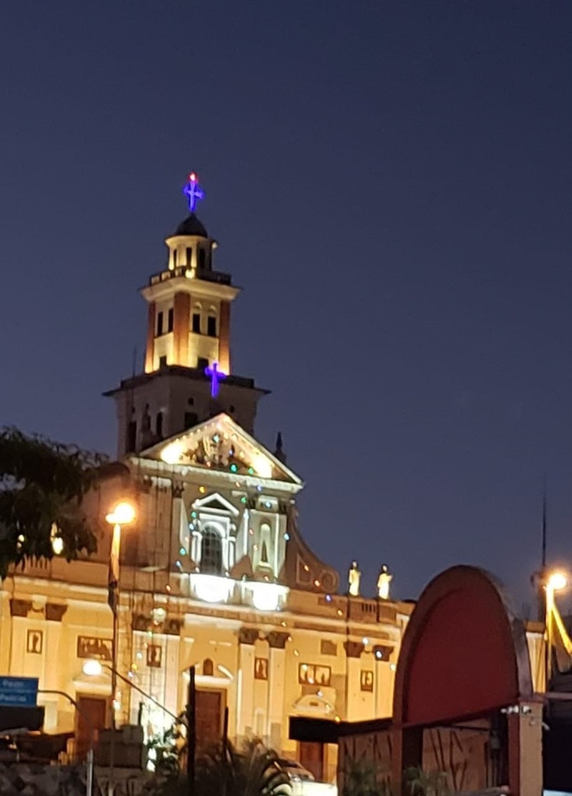 A igreja do Calvário costumava receber até 60 mil pessoas antes da pandemia Macaque in the trees