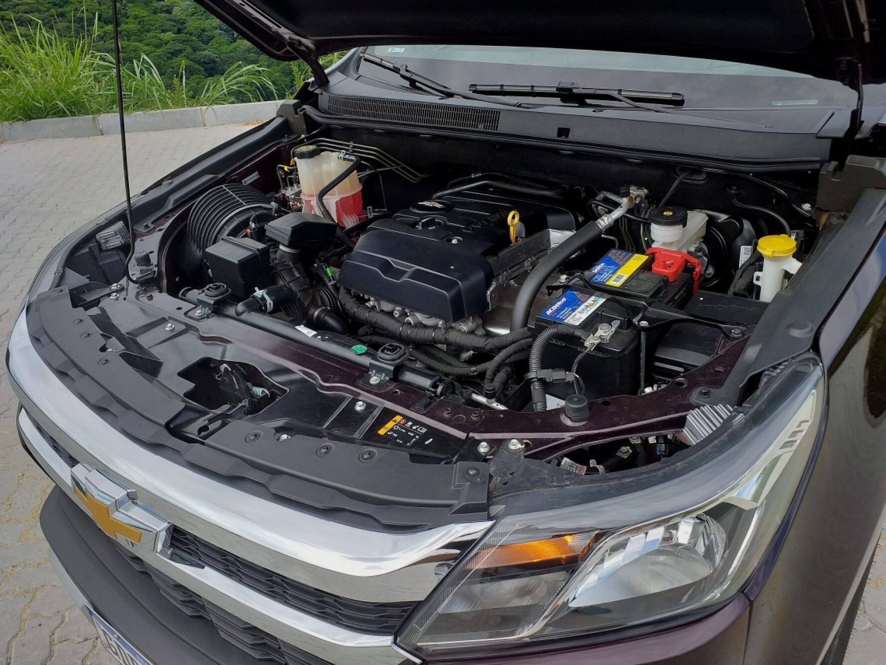 O motor 2.5 da S10 LTZ flex cumpre com desembaraço a tarefa de deslocar os 1.934 quilos da picape pelas ruas e estradas Macaque in the trees