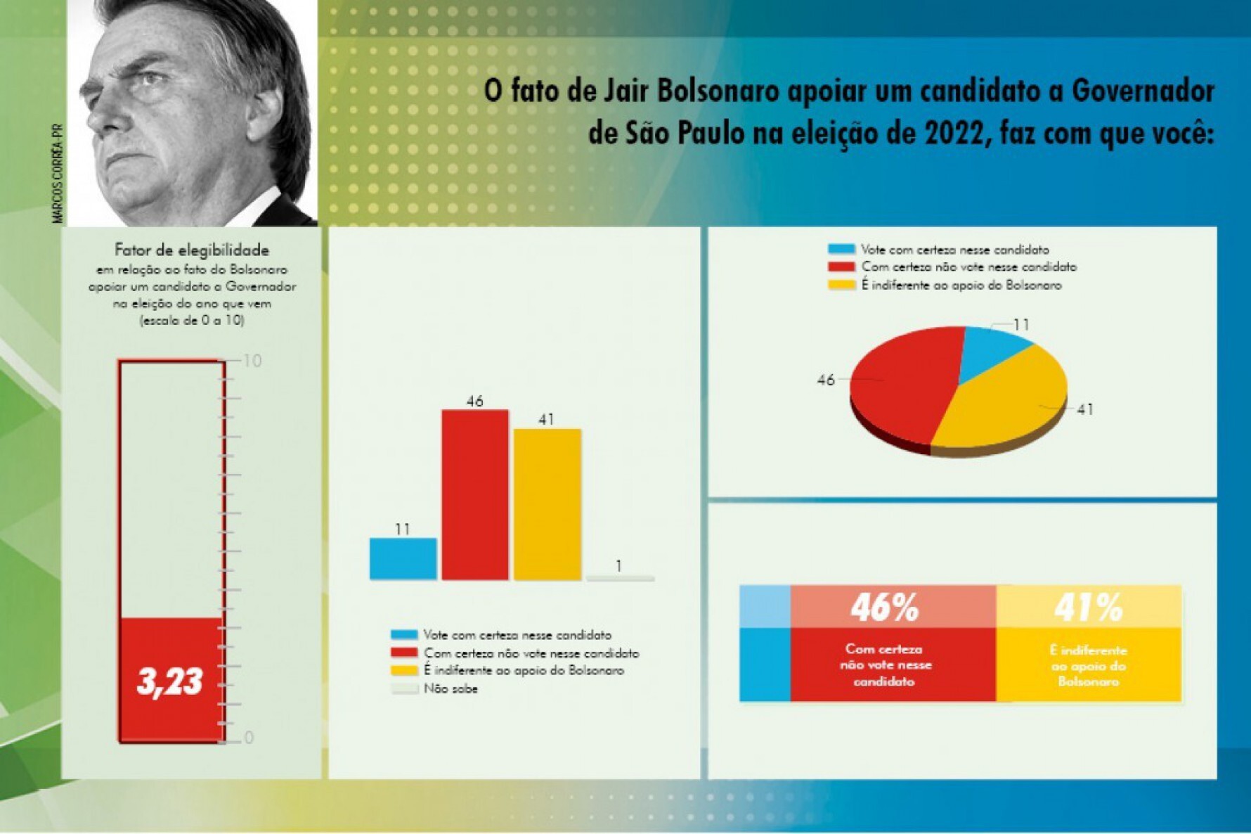 Fator de elegibilidade de candidato apoiado por Bolsonaro Macaque in the trees