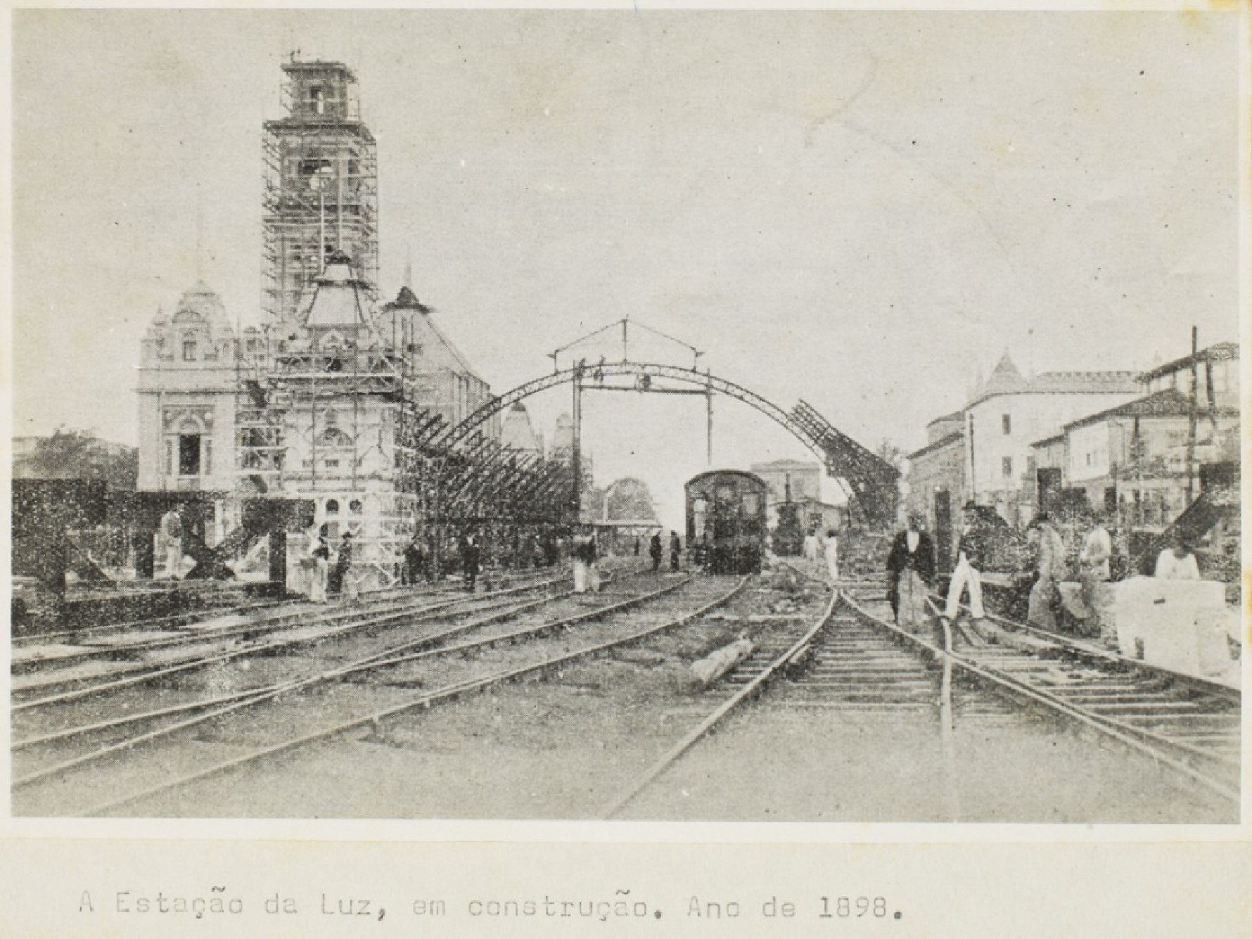A Estação da Luz surgiu em 1901, como a mais importante da São Paulo Railway Macaque in the trees