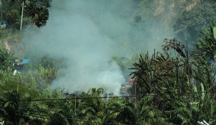 Incêndio de grandes proporções atinge a encosta do Morro São Bento em Santos Macaque in the trees