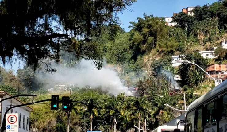 Incêndio de grandes proporções atinge a encosta do Morro São Bento em Santos Macaque in the trees